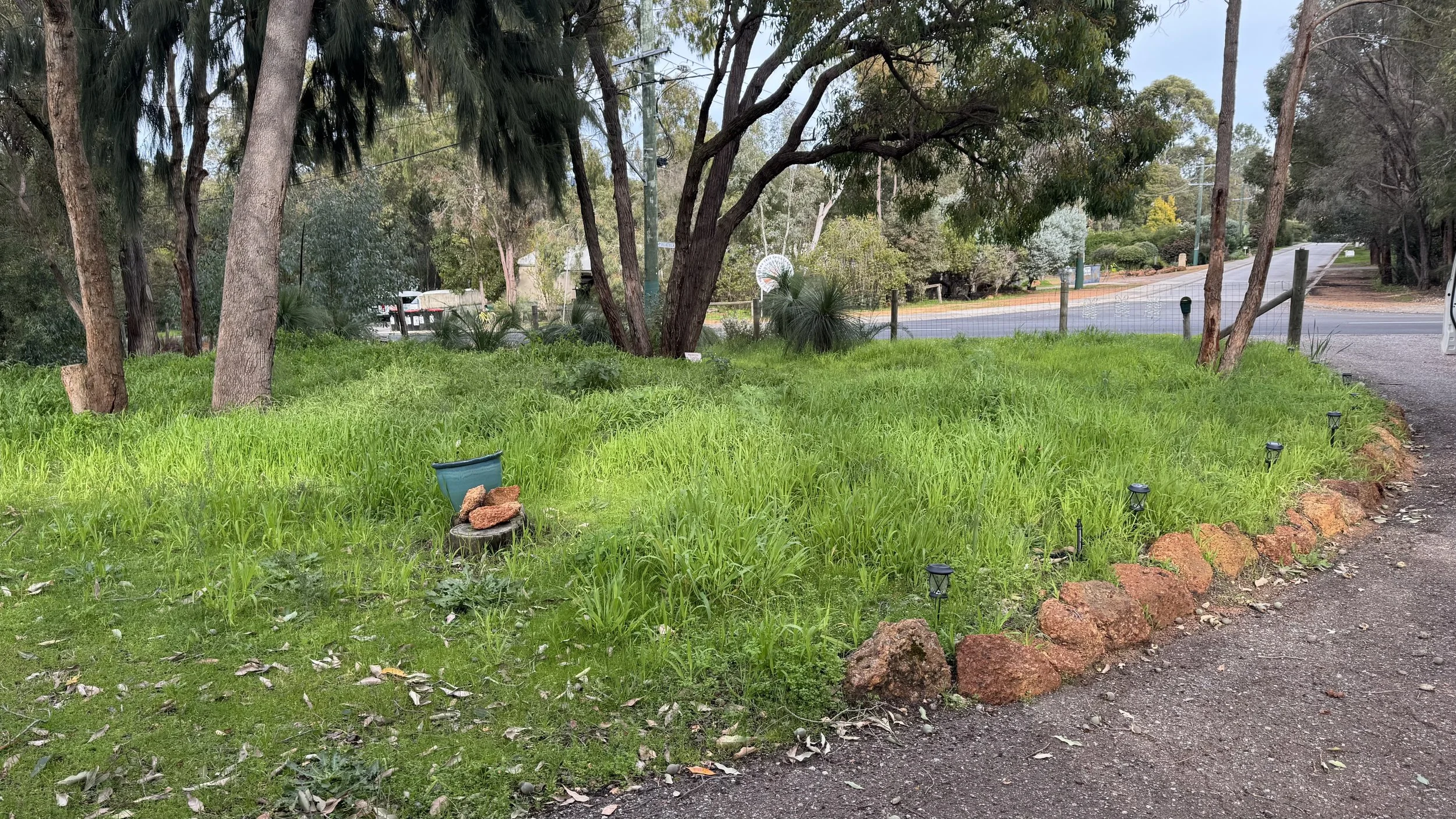 A yard with green grass, trees, and small solar lights along the edge, with a gravel path on the right and a street in the background.