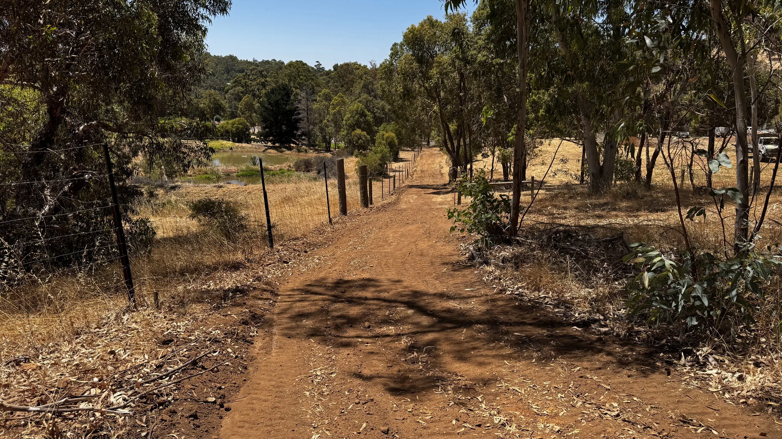 A dirt path with tire tracks running through a dry, rural landscape, bordered by a red wire fence, with trees and blue sky in the background.
