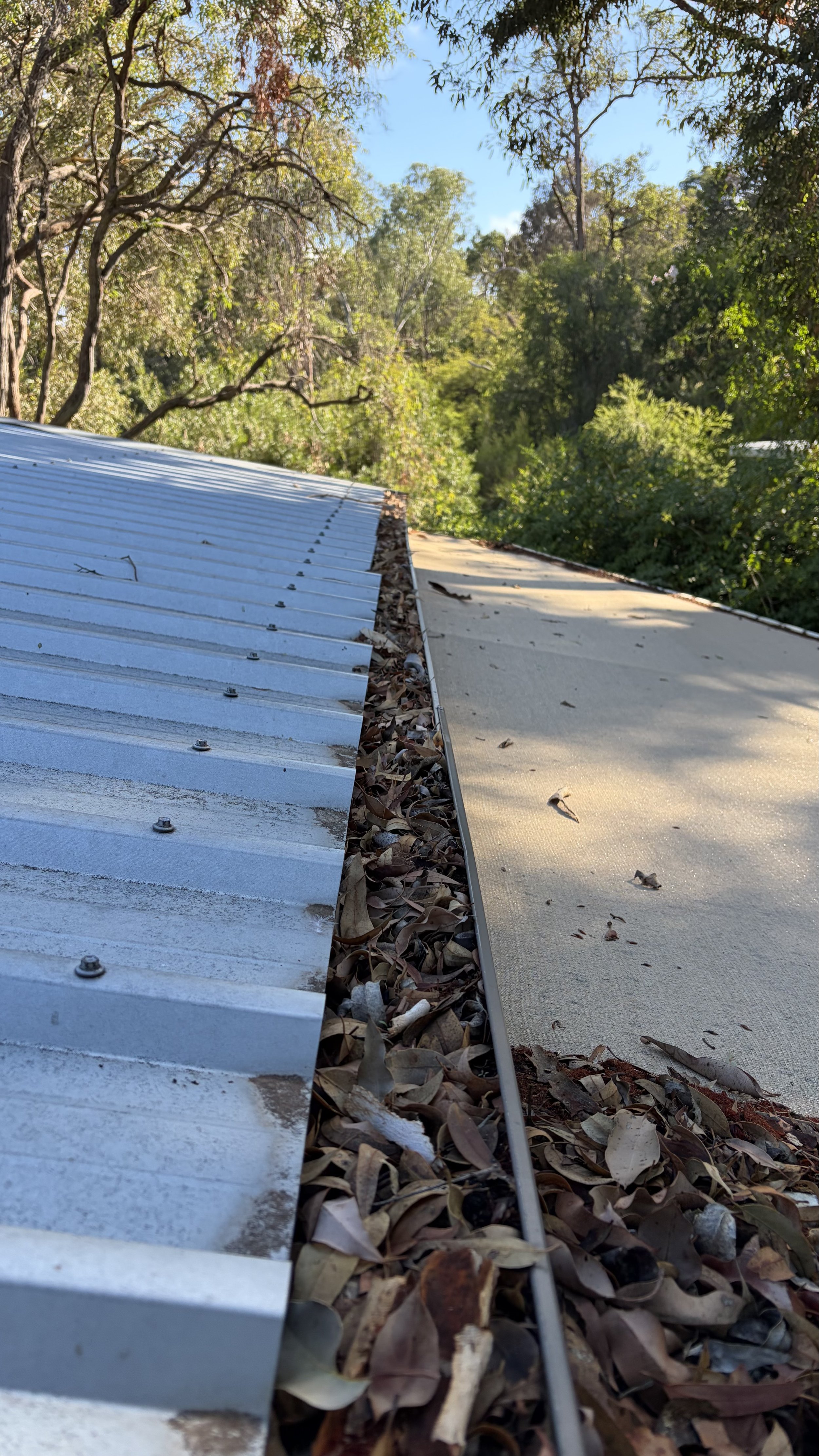 Close-up of a metal roof edge with leaves and debris, surrounded by trees and a blue sky.