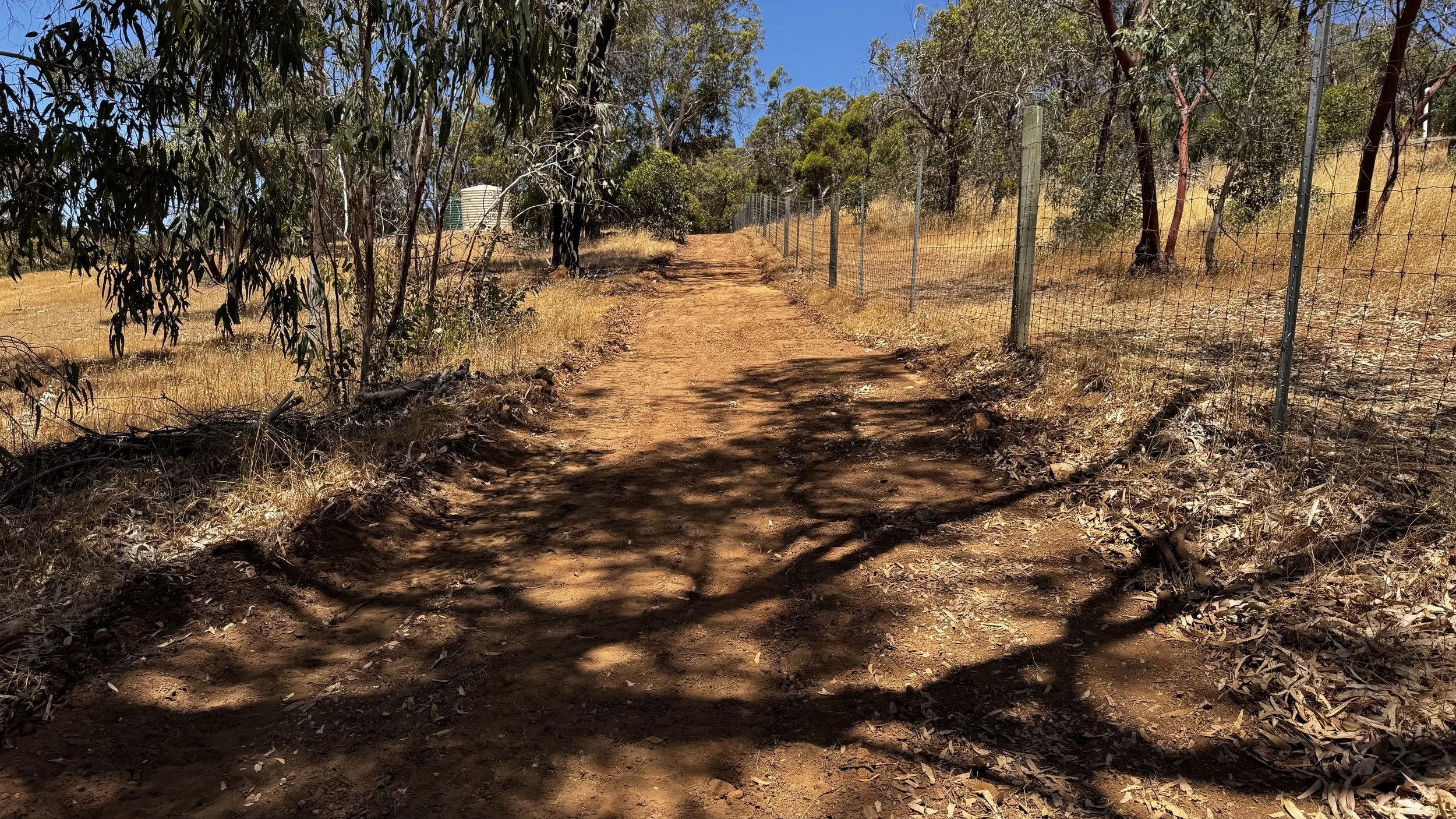 Dirt trail through a dry wooded area with a fence on the right side and trees casting shadows on the ground.