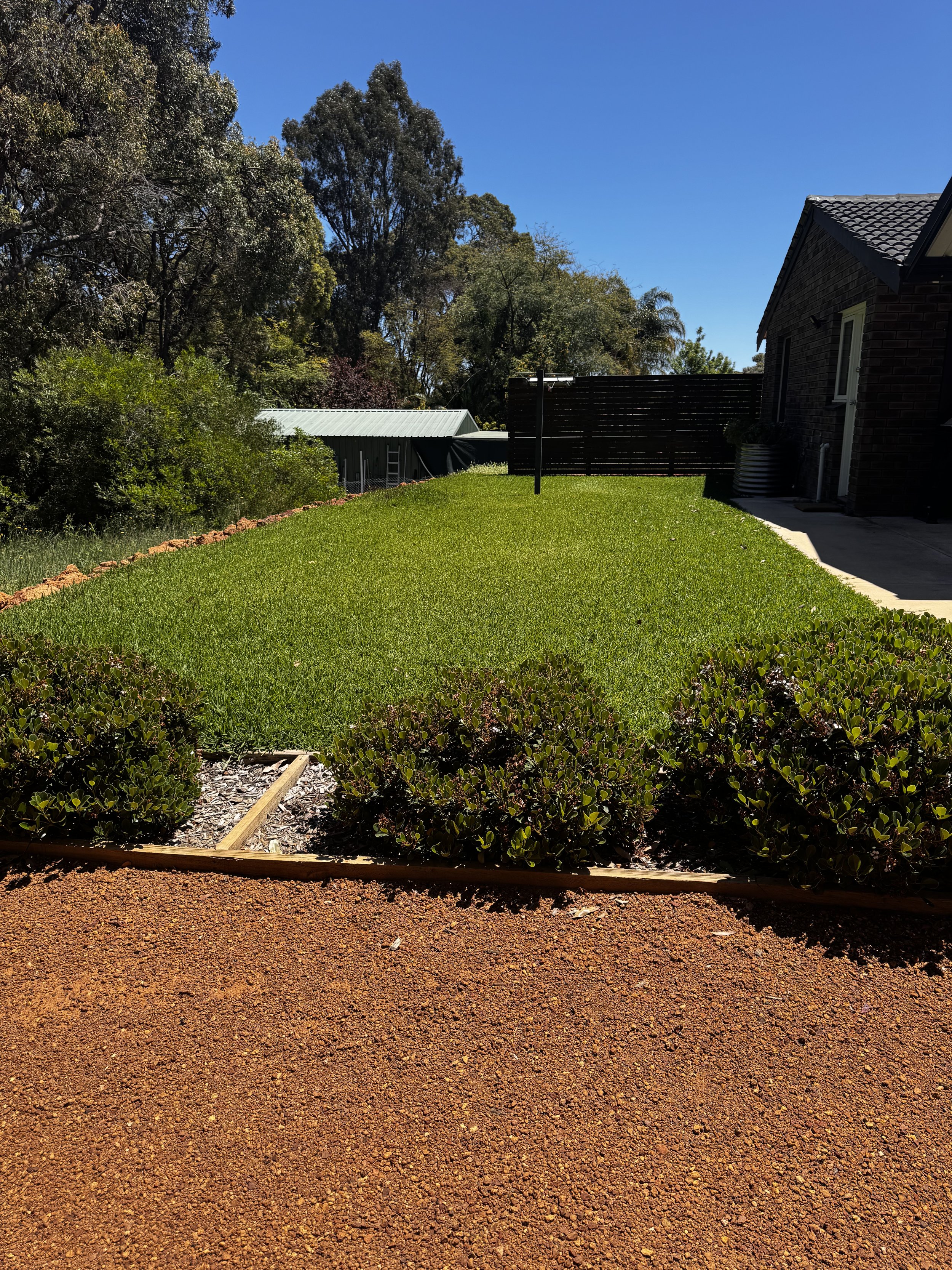 A backyard with a well-maintained green lawn, a brick house on the right, a wooden fence, trees in the background, and a clear blue sky.