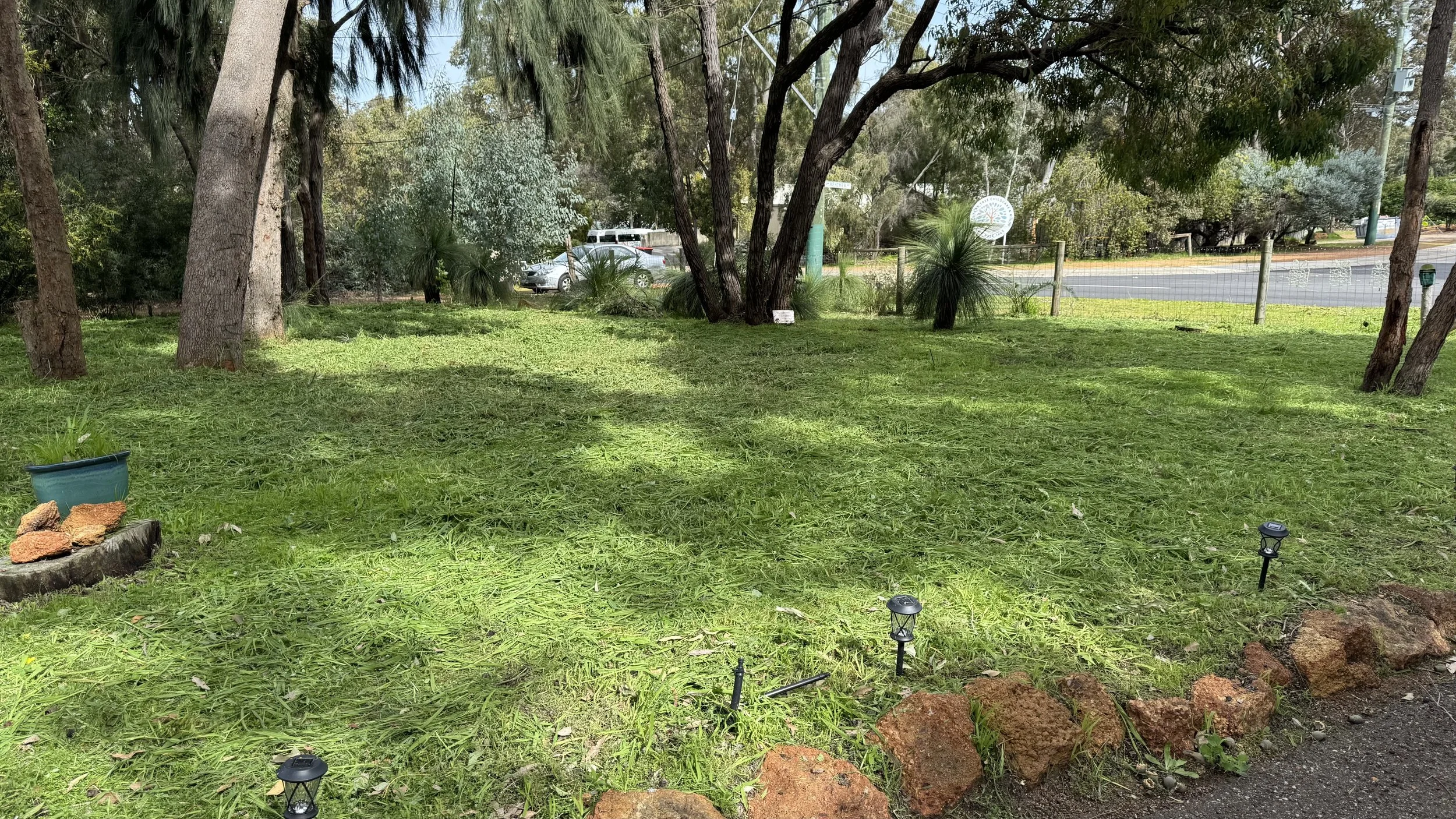 A backyard with green grass, trees, and small outdoor lights along the edge. There is a chain-link fence and a street with parked cars in the background.