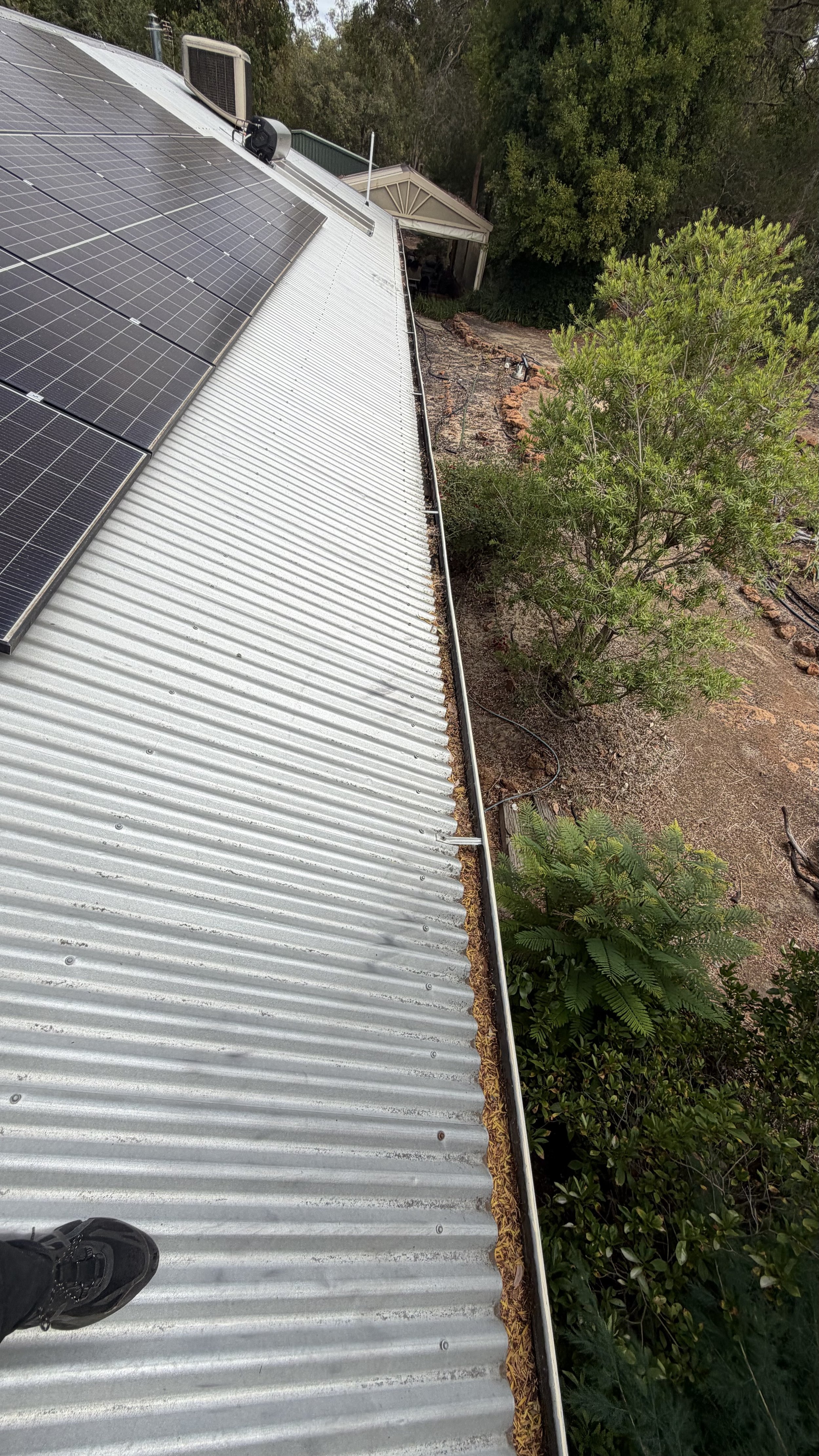 View from the roof showing solar panels, a metal roof, and surrounding trees and bushes.