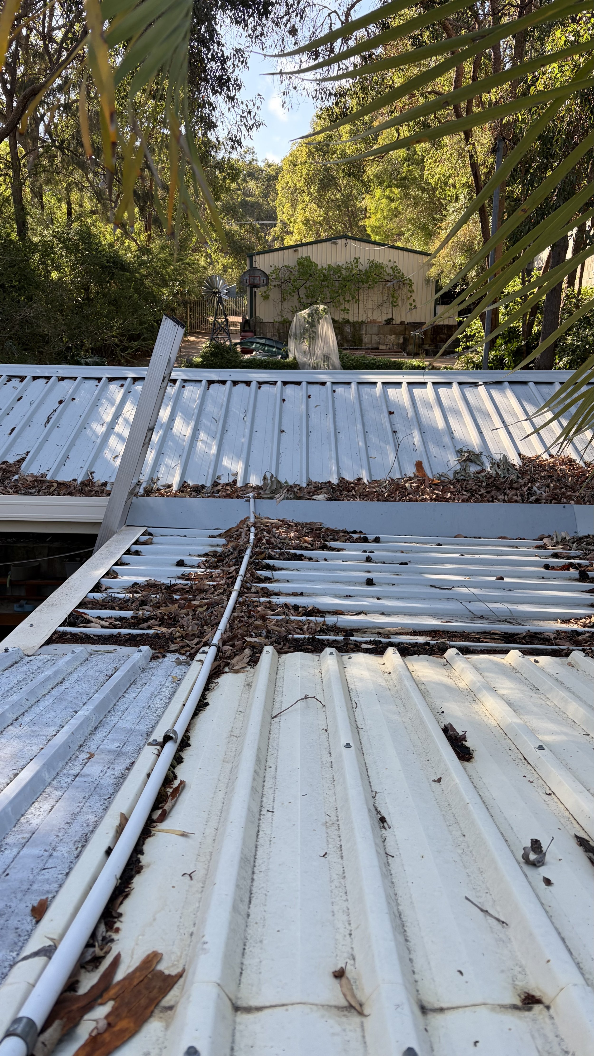 A Metal roof with a pipe and some fallen leaves, looking towards a backyard with trees, a shed, a basketball hoop, and garden items in bright daylight.