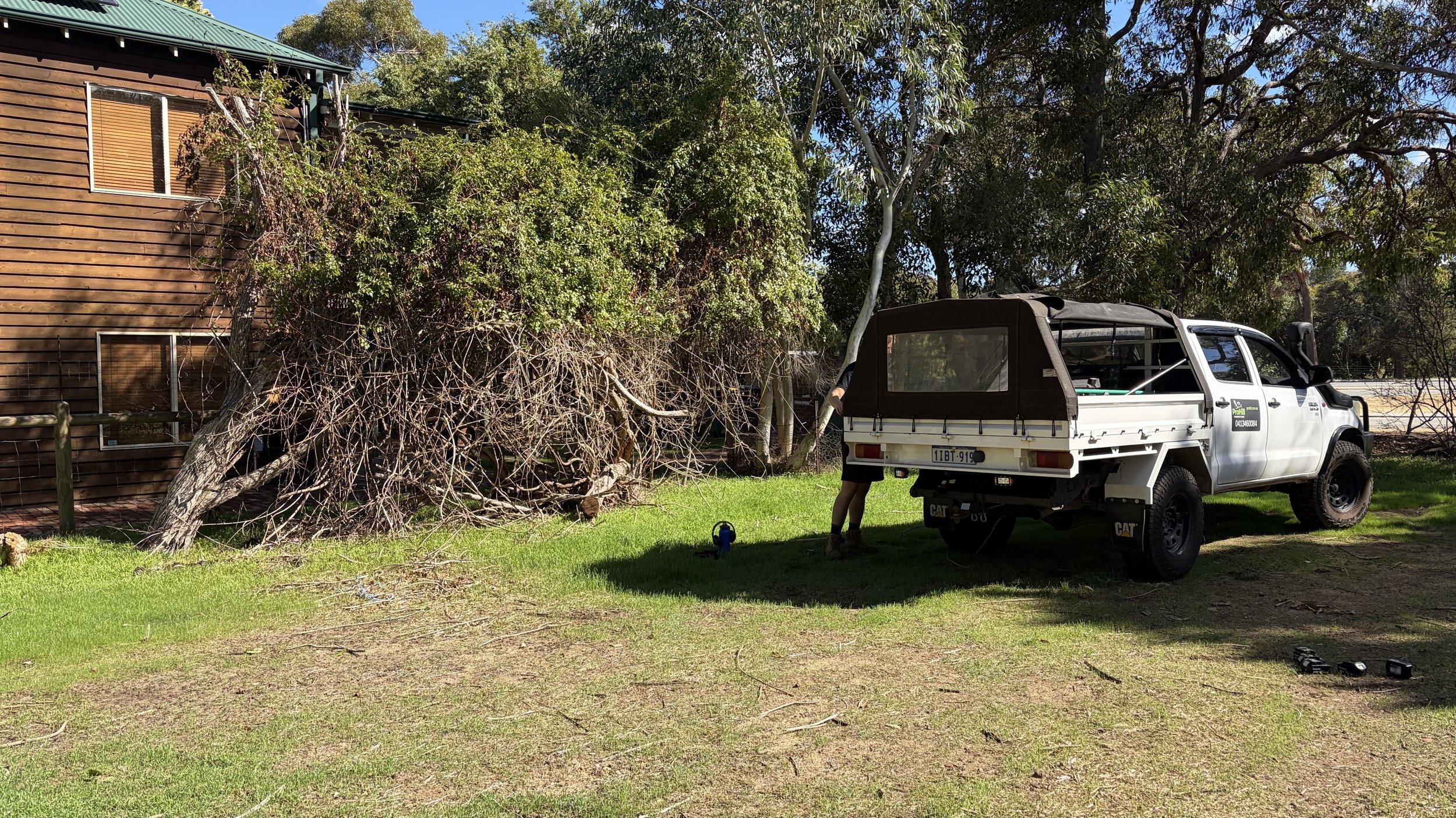 A white utility vehicle parked on a grassy lawn next to a large green shrub and a wooden house. A person is partially visible behind the vehicle, working near the shrub. There are tools on the ground, and the scene is set on a bright, sunny day.