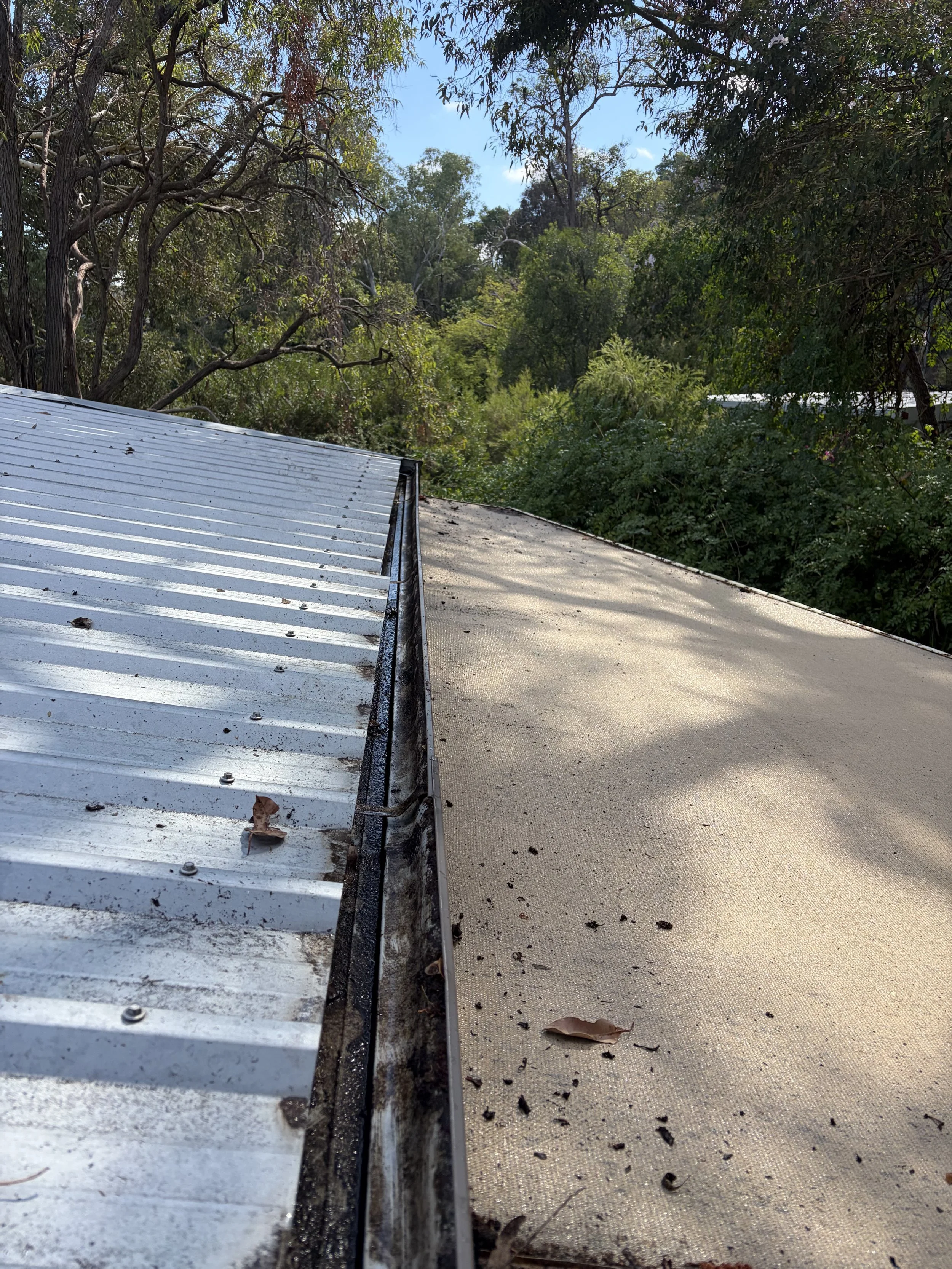 A roof with a metal sheet and a flat roof next to each other, with trees and bushes in the background, and a clear blue sky.