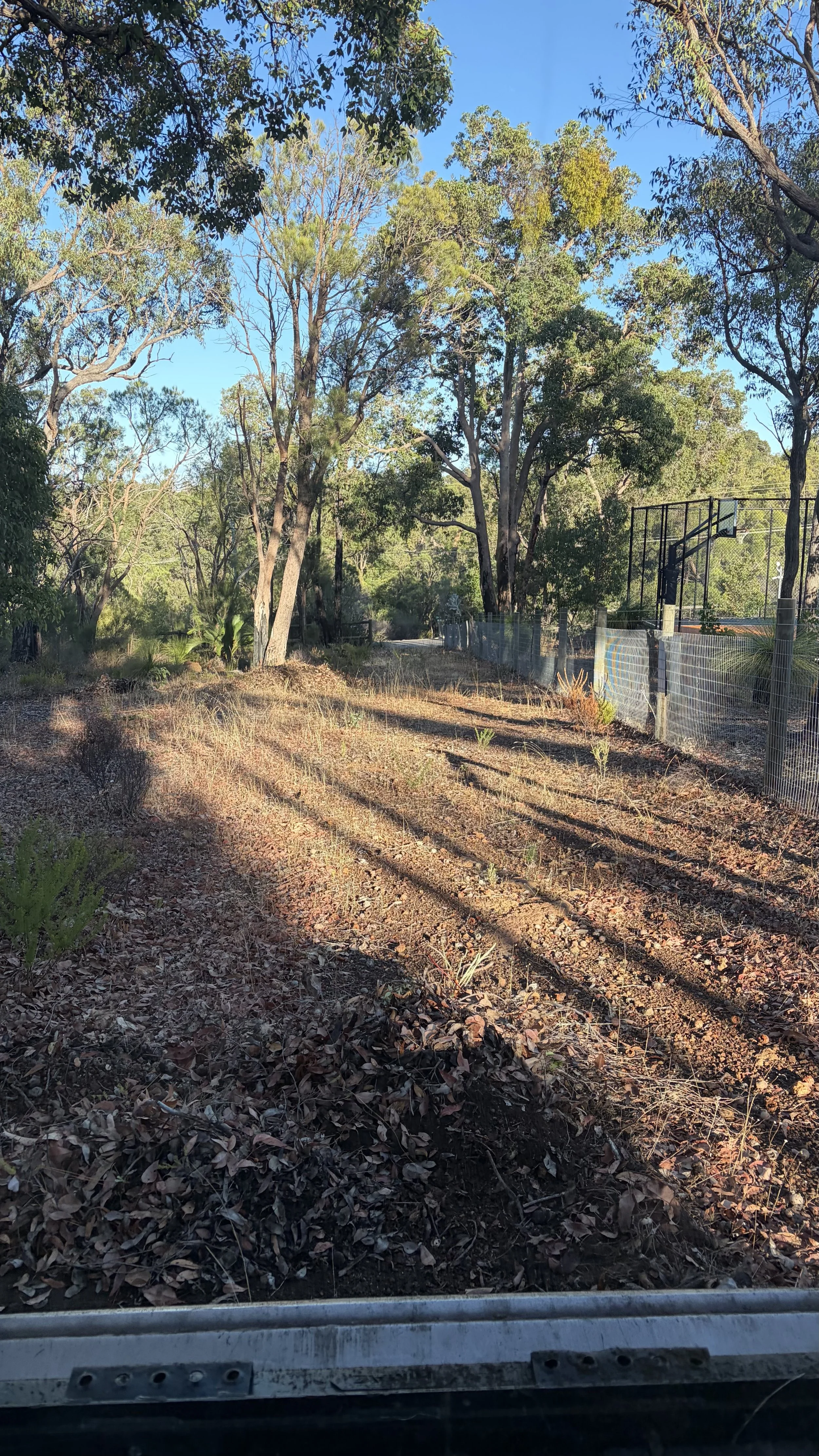 A dirt path surrounded by trees and bushes, with shadows cast on the ground, and a fenced basketball court on the right side under a clear blue sky.