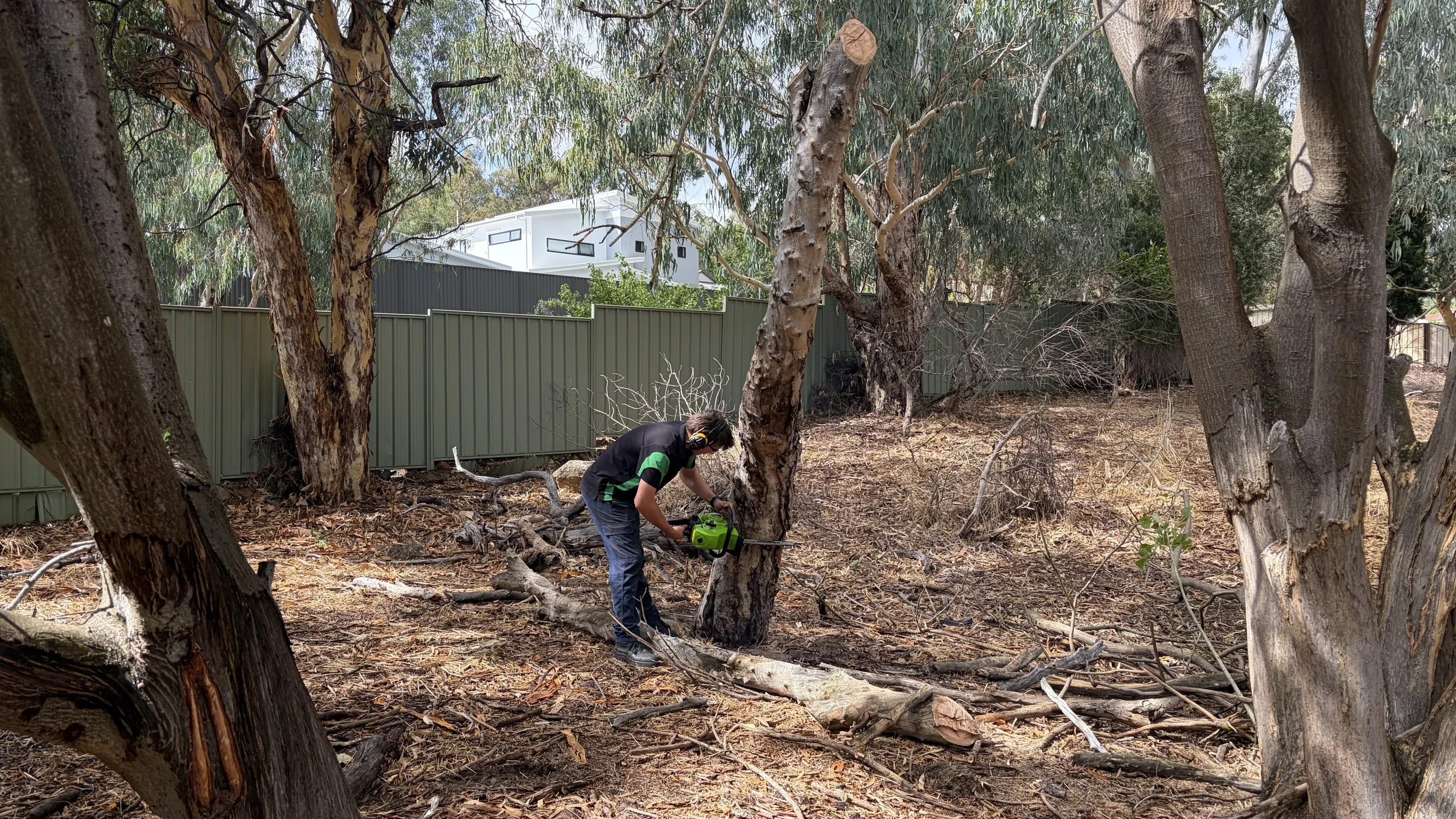 A person wearing ear protection and a black t-shirt with green accents is using a chainsaw to cut a fallen tree trunk in a backyard with trees and a metal fence.