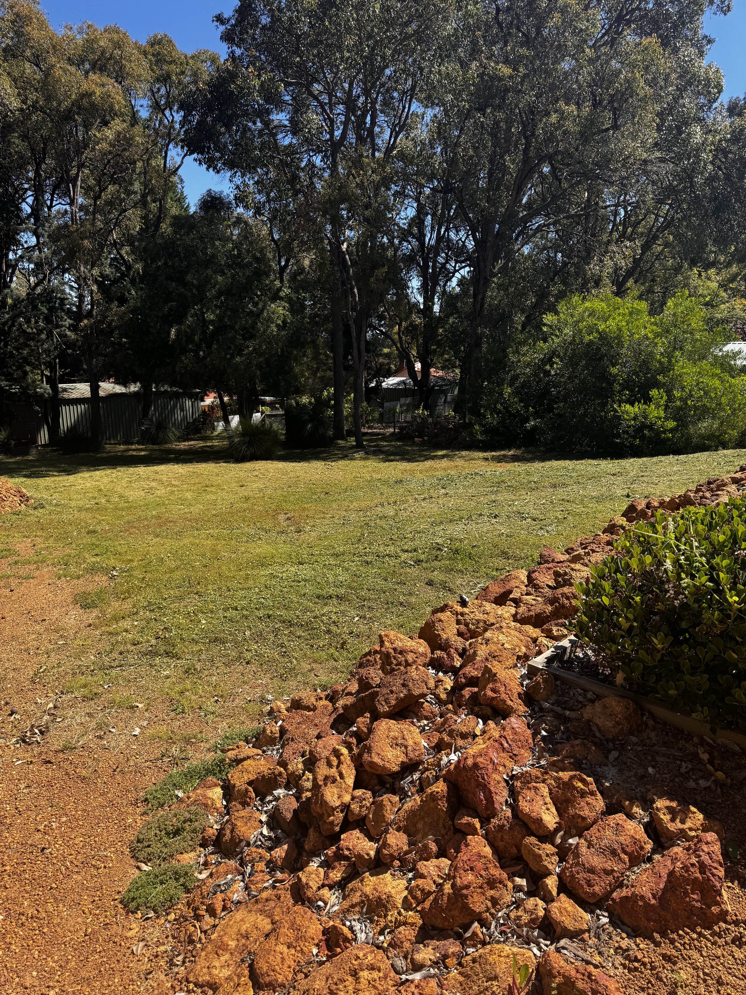 A backyard with a grassy lawn surrounded by trees and shrubs, with a stone border along the right side of the yard. The sky is blue and clear.