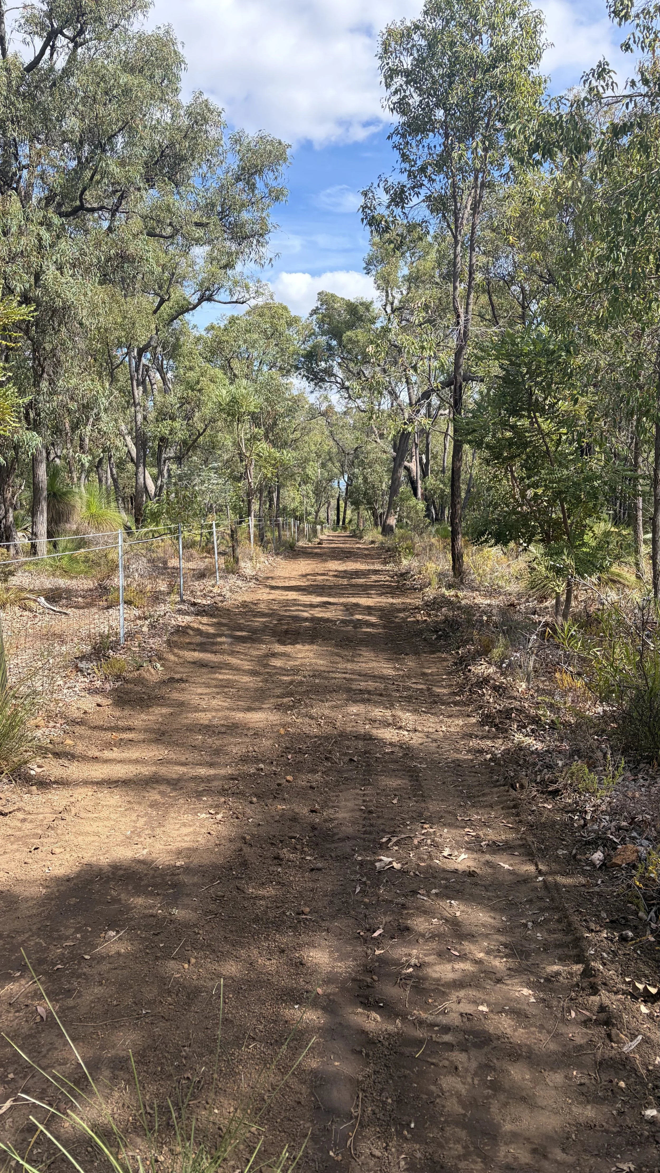 A dirt walking path surrounded by trees and bushes in a natural setting, with a clear sky above.