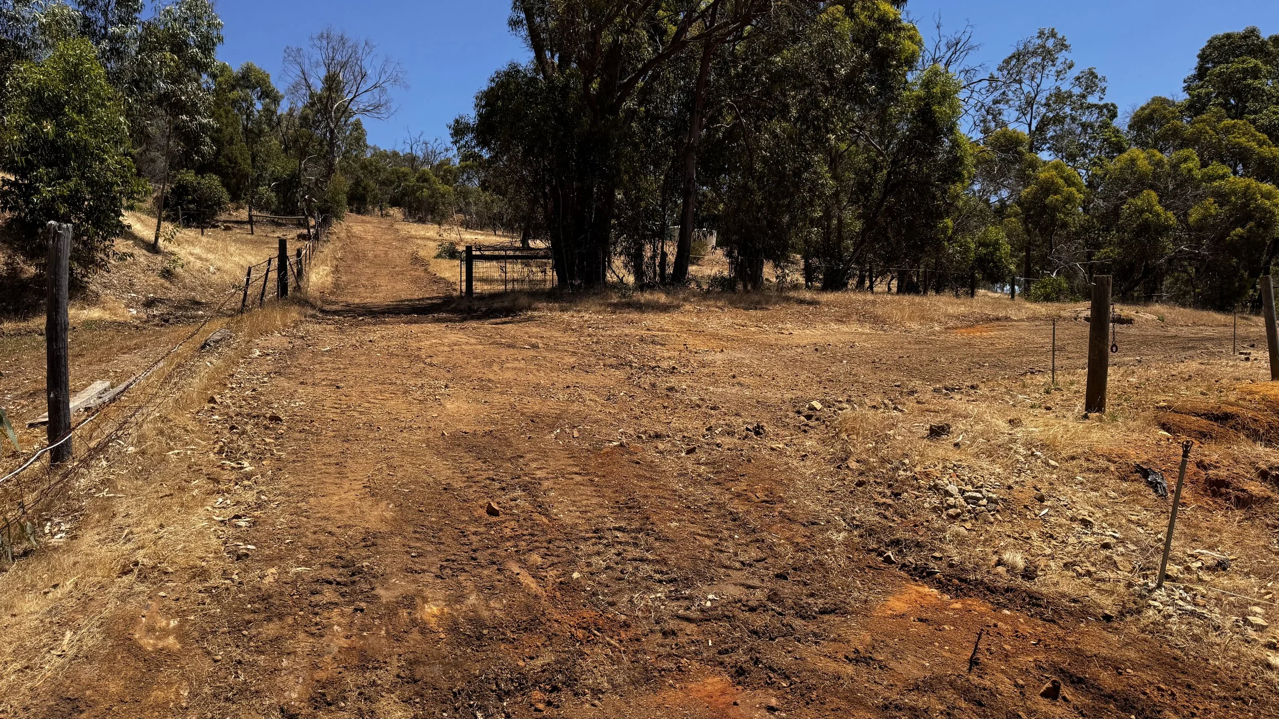 Dirt driveway curving upward through a rural landscape with trees and a wooden fence, under a clear blue sky.