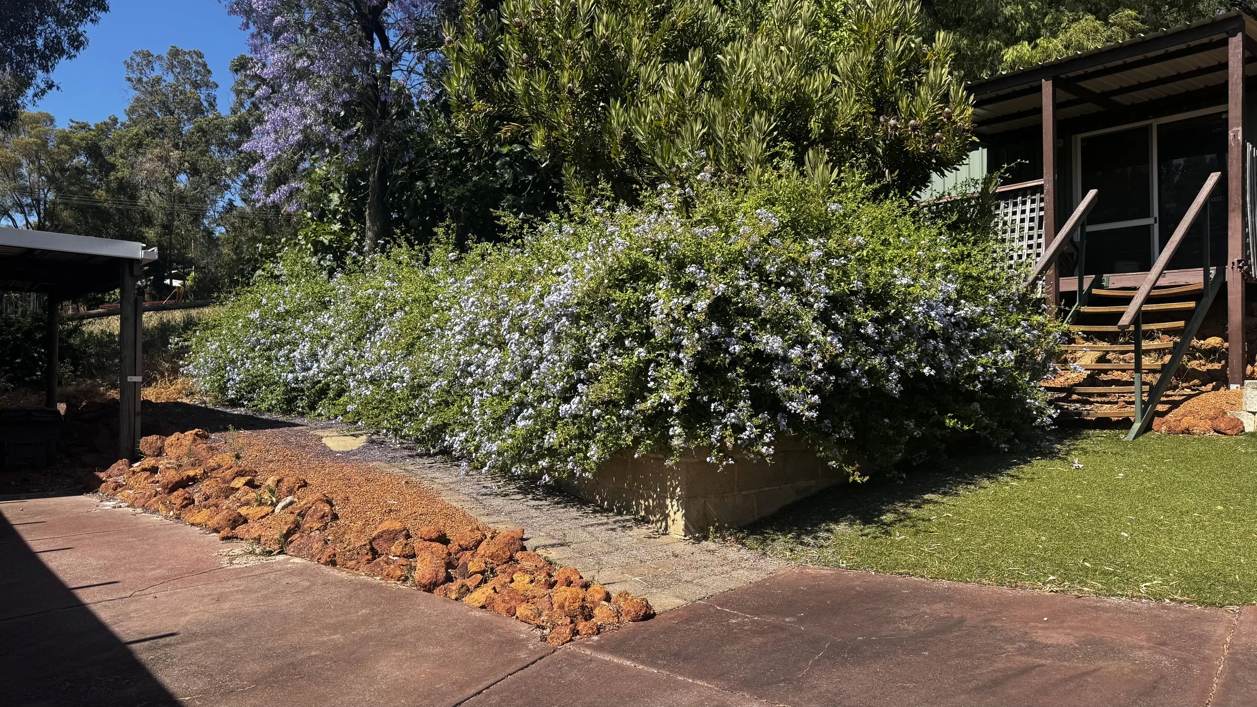 Row of red brick houses with tiled roofs, green hedges, a manicured lawn, and a brick pathway in a residential neighborhood under a clear blue sky.