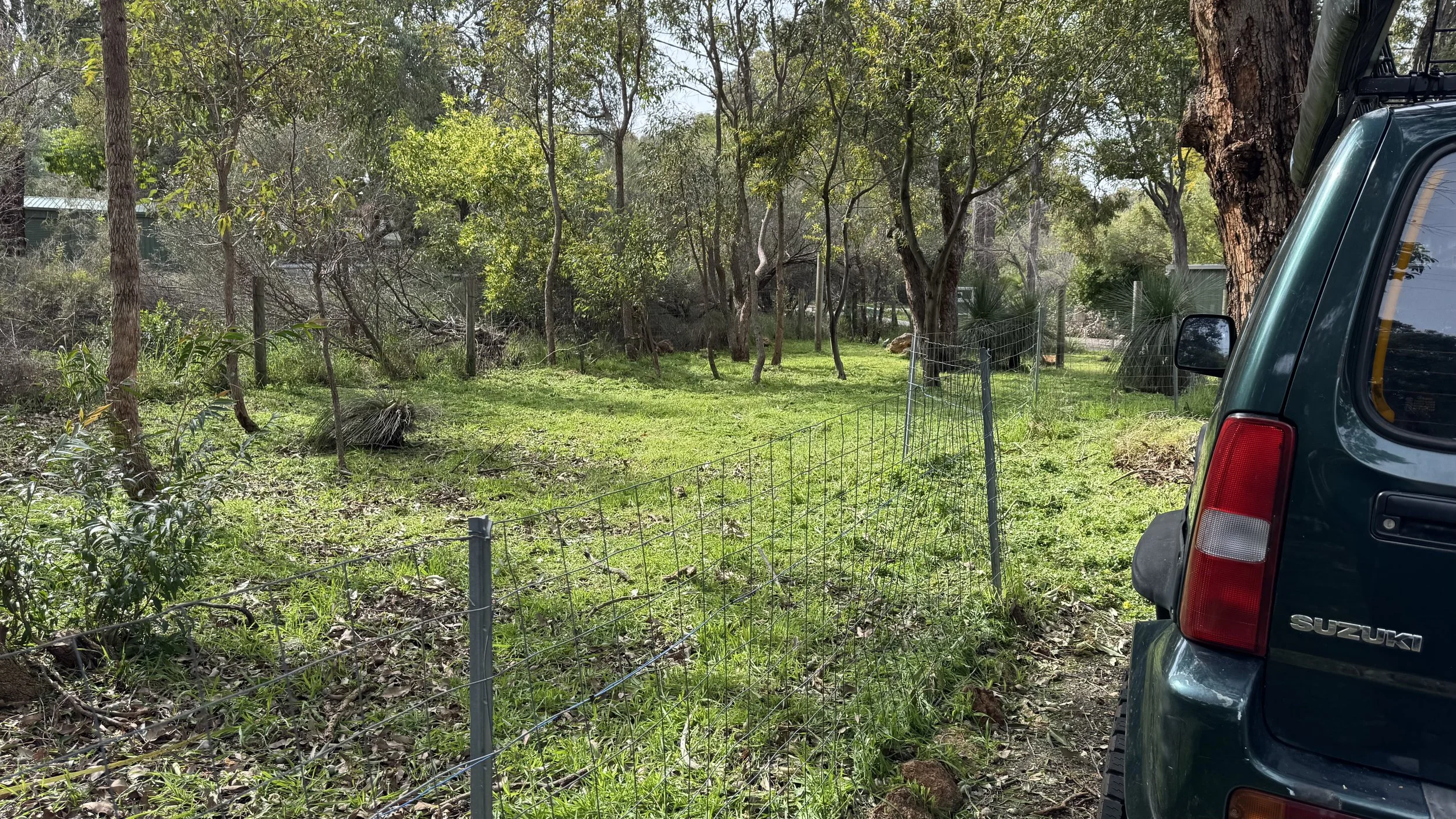 A green Suzuki SUV parked beside a wire fence on a grassy, wooded area with trees and shrubs.
