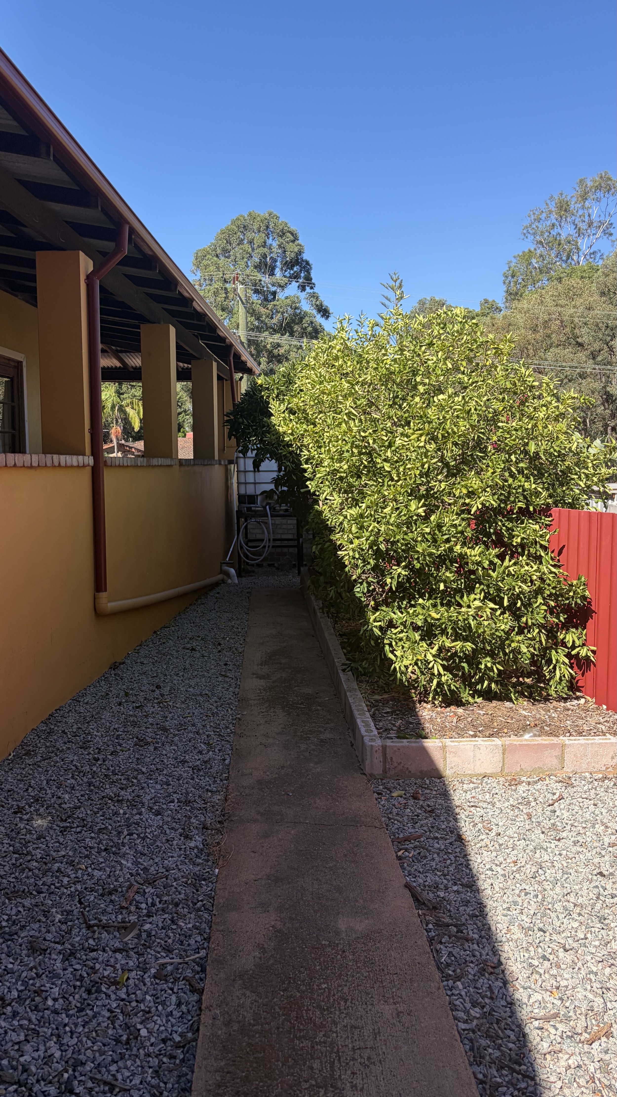 A side yard walkway next to a yellow house with a red gutter, bordered by greenery and a red fence, under a clear blue sky.