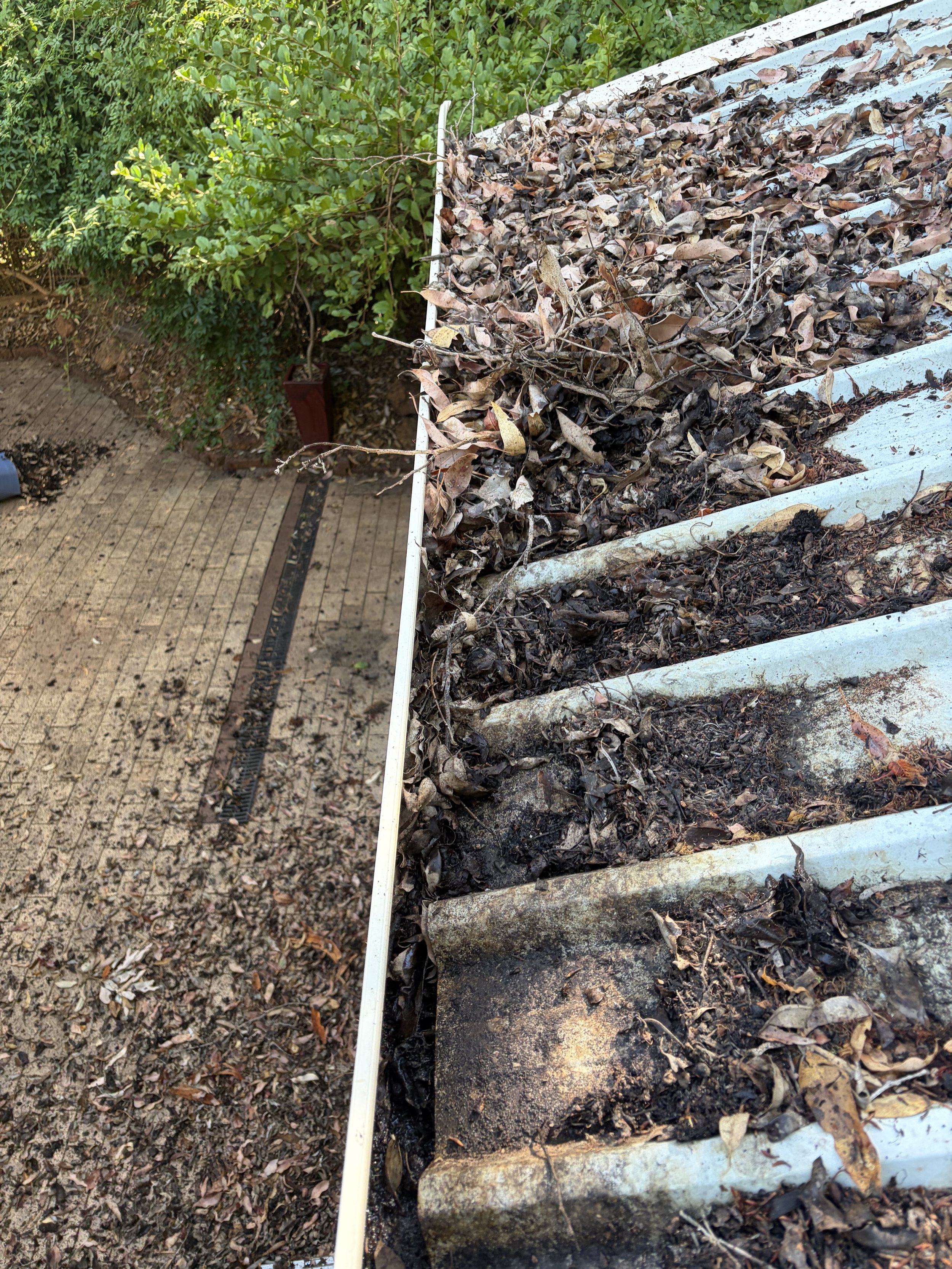 Close-up of a snow shovel covered with fallen leaves and dirt on a roof's gutter, with a backyard featuring plants, trees, and a wooden deck visible in the background.