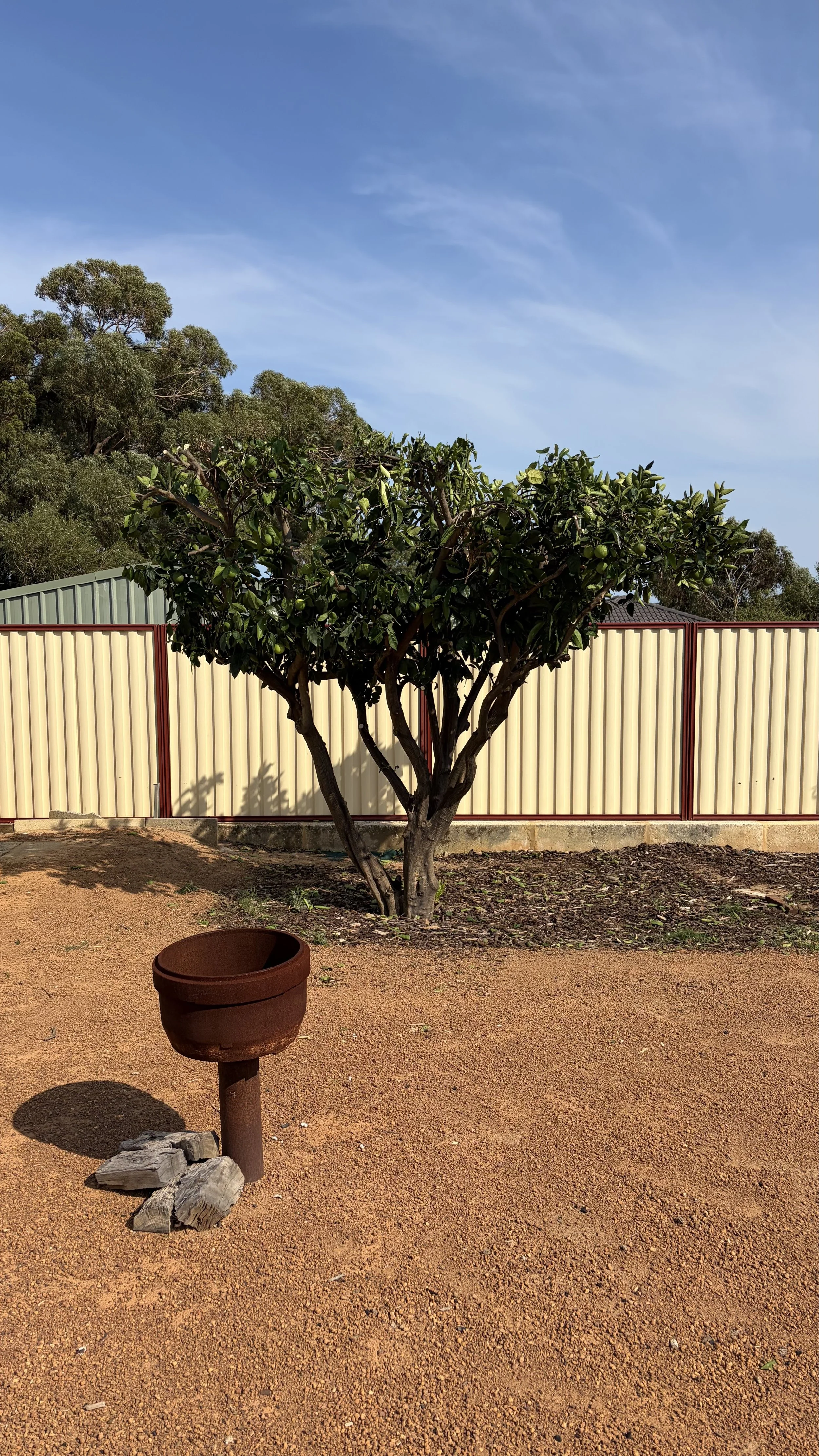 A backyard with a tree with green leaves, a beige fence with red trim, and a garden bed in front of the fence. There is also a rusted metal birdbath on a post with some rocks at its base. The ground is reddish-brown dirt.