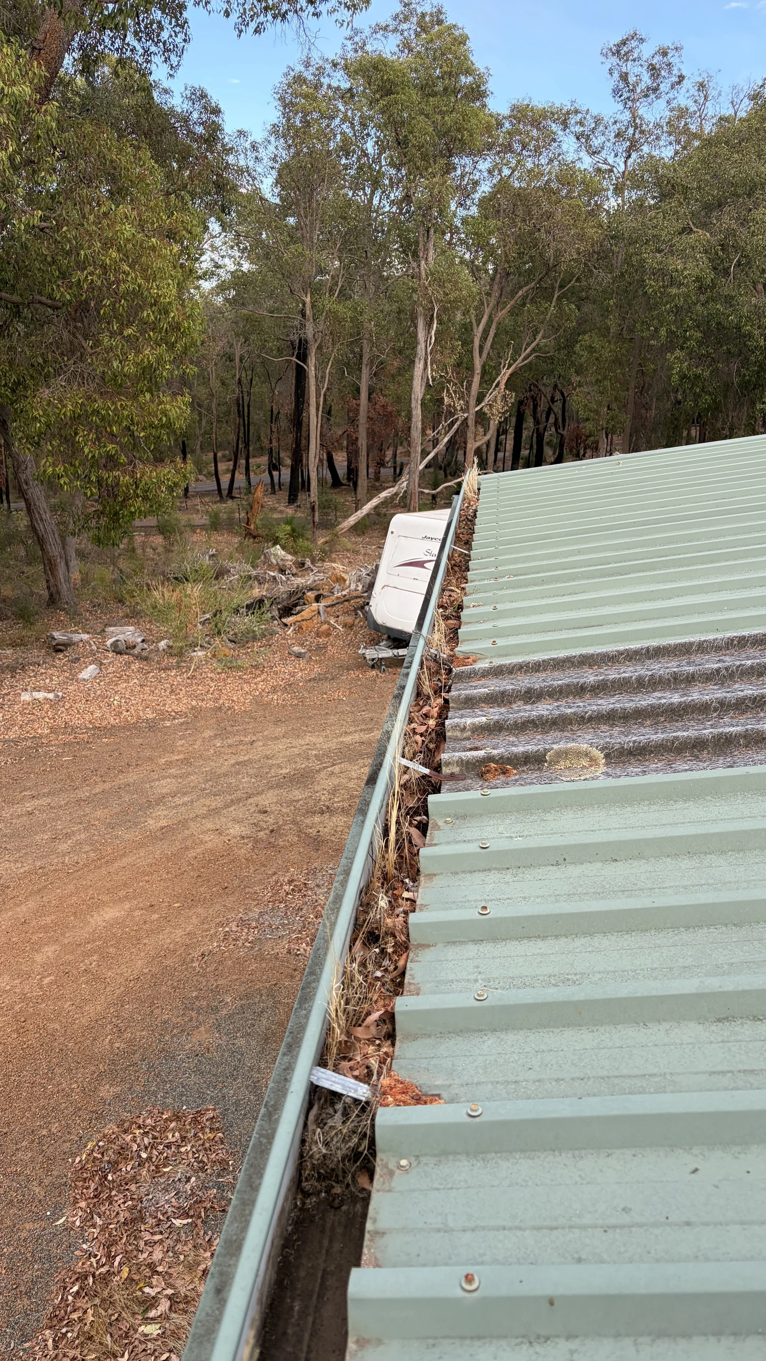A roof with green corrugated metal sheets extending over the edge, with dried leaves and debris collected along the edge. In the background, a fallen utility pole and power lines are leaning against tall trees in a wooded area.