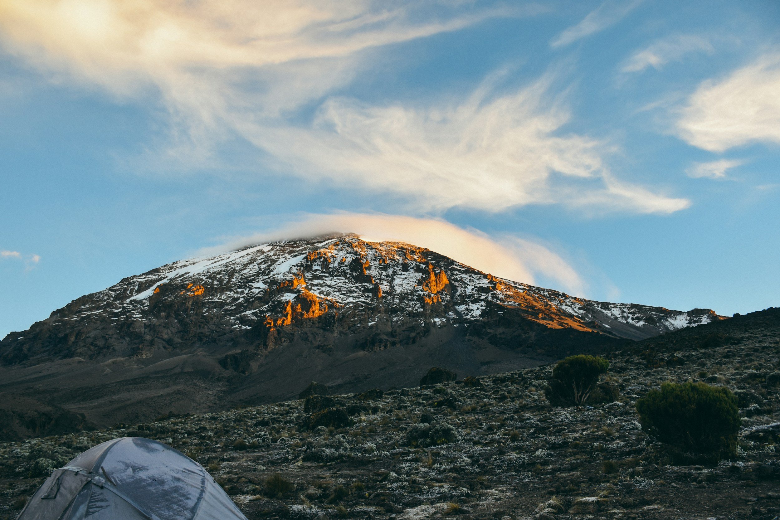 Tents set up in a camp under Mount Kilimanjaro with a clear blue sky.