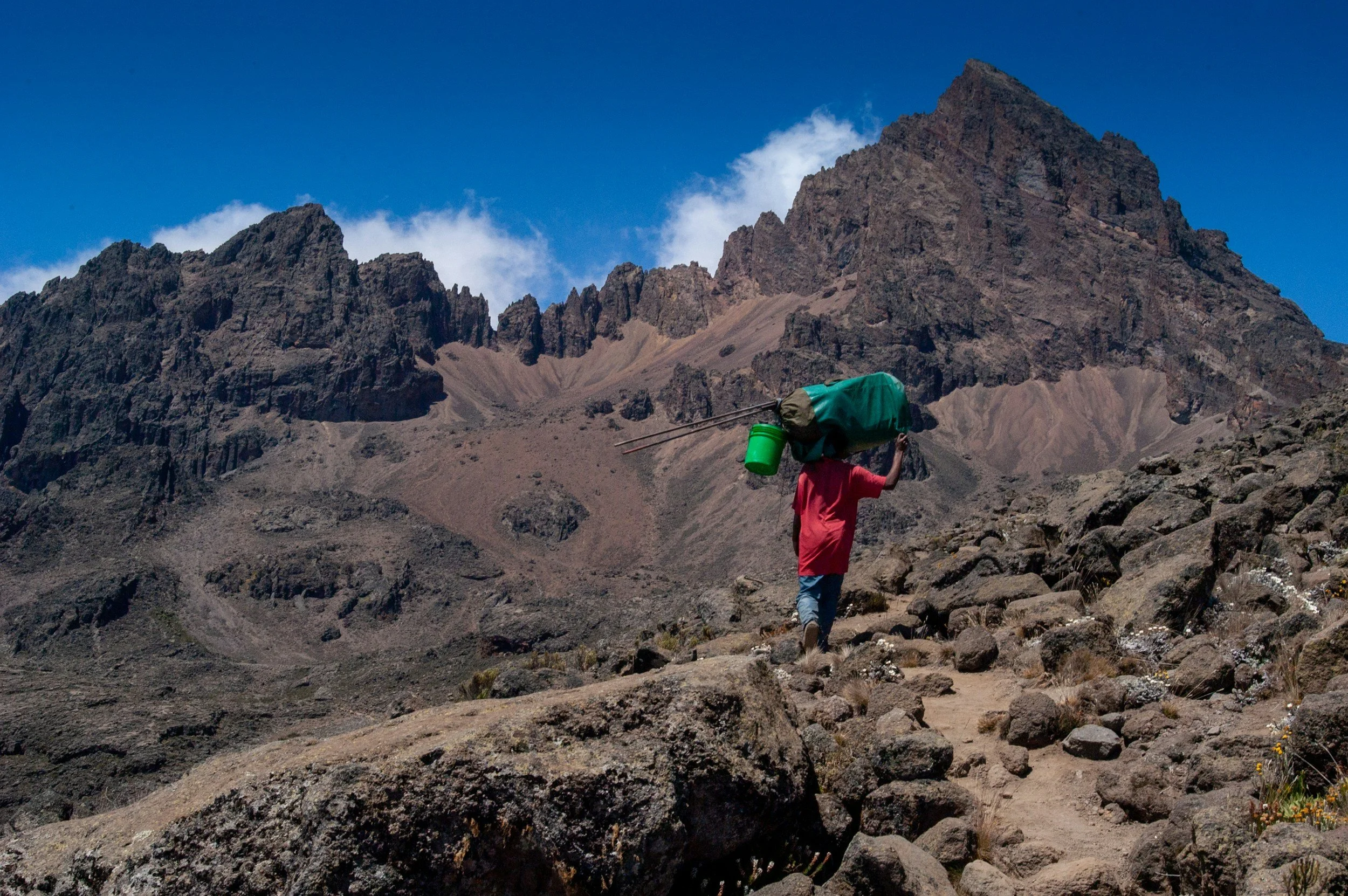 Sherpa or porter or guide walking on rocky trail in mountains carrying a large green backpack with camping gear on Mount Kilimanjaro.