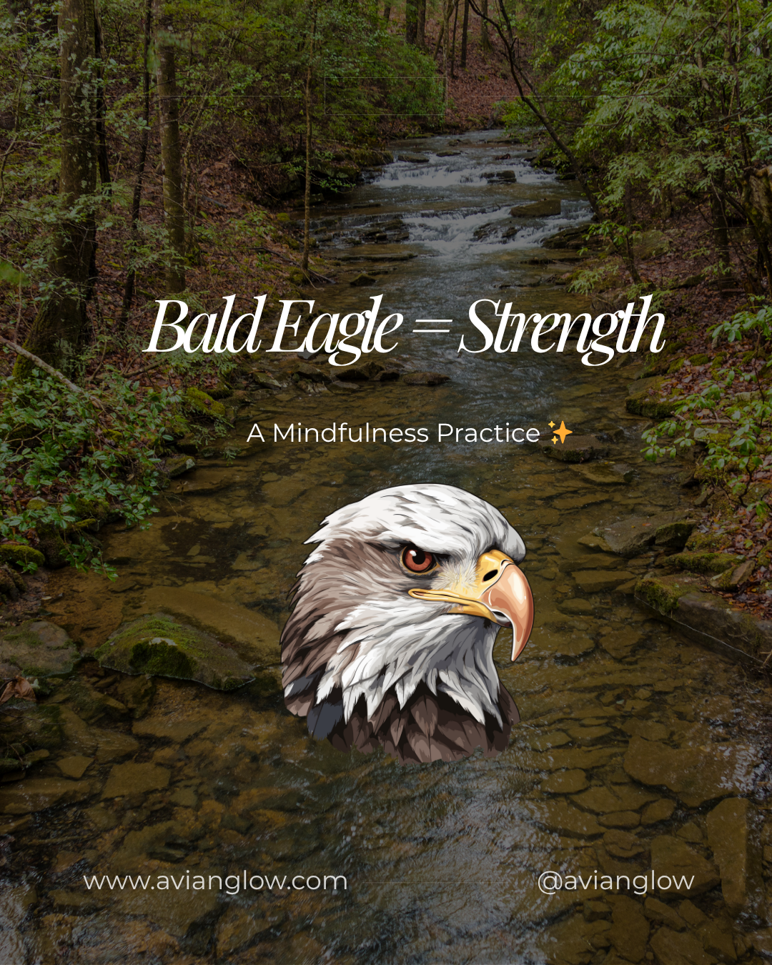 Bird Wisdom for Cooler Days