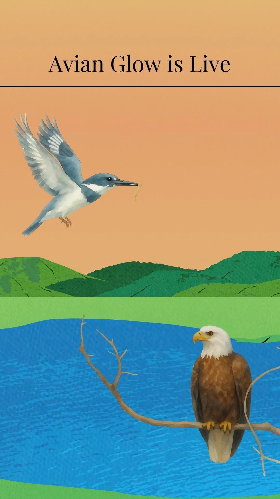 The Spiritual Language of Birds: How the Coast Communicates with Us</span>