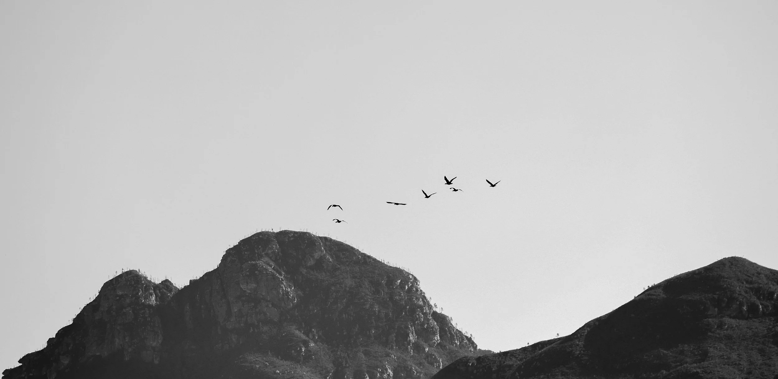 Connecting With the Earth, Guided by Birds