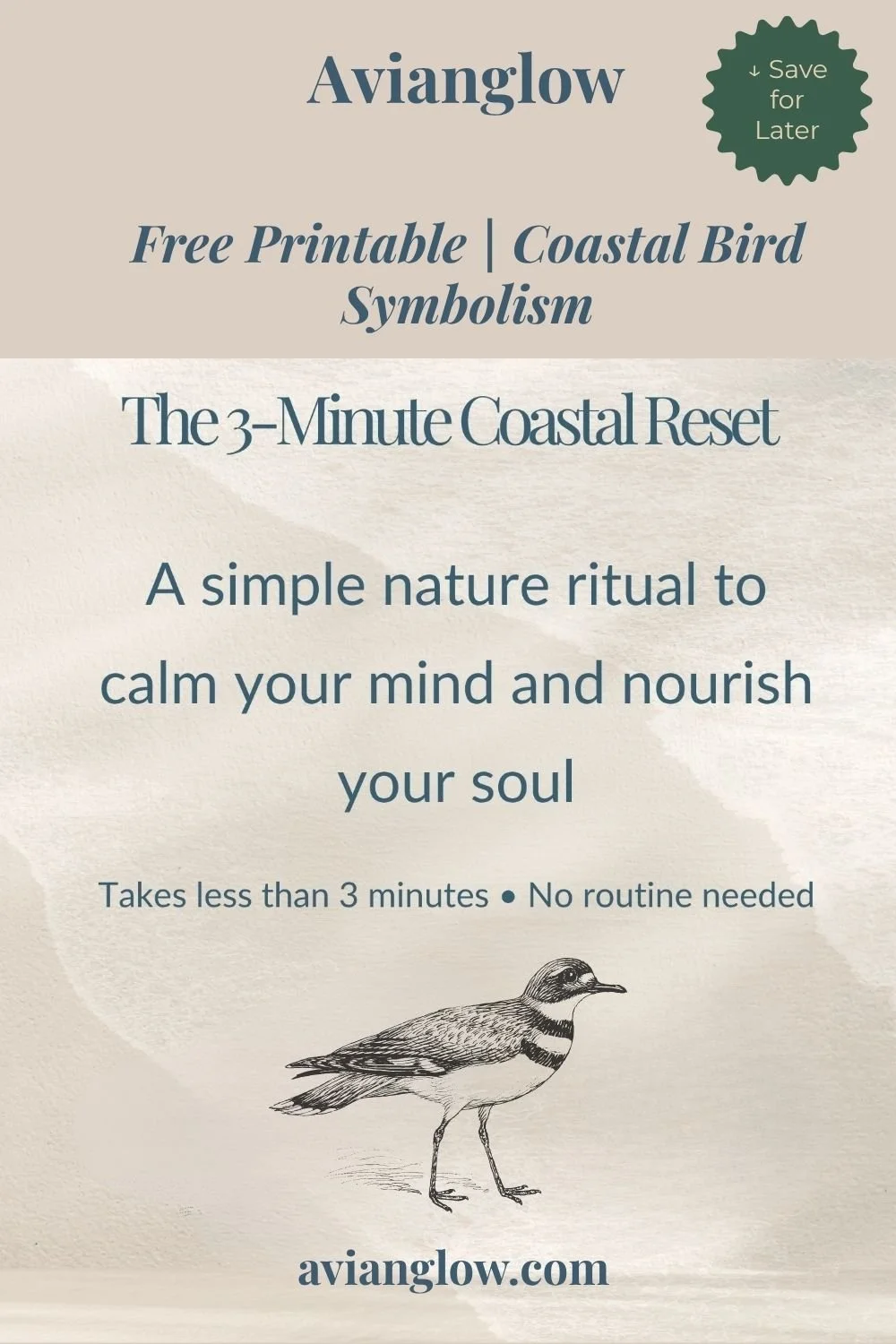 pinterest post coastal reset cover.jpg