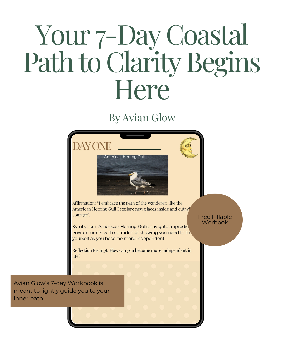 workbook cover page.png (Copy)