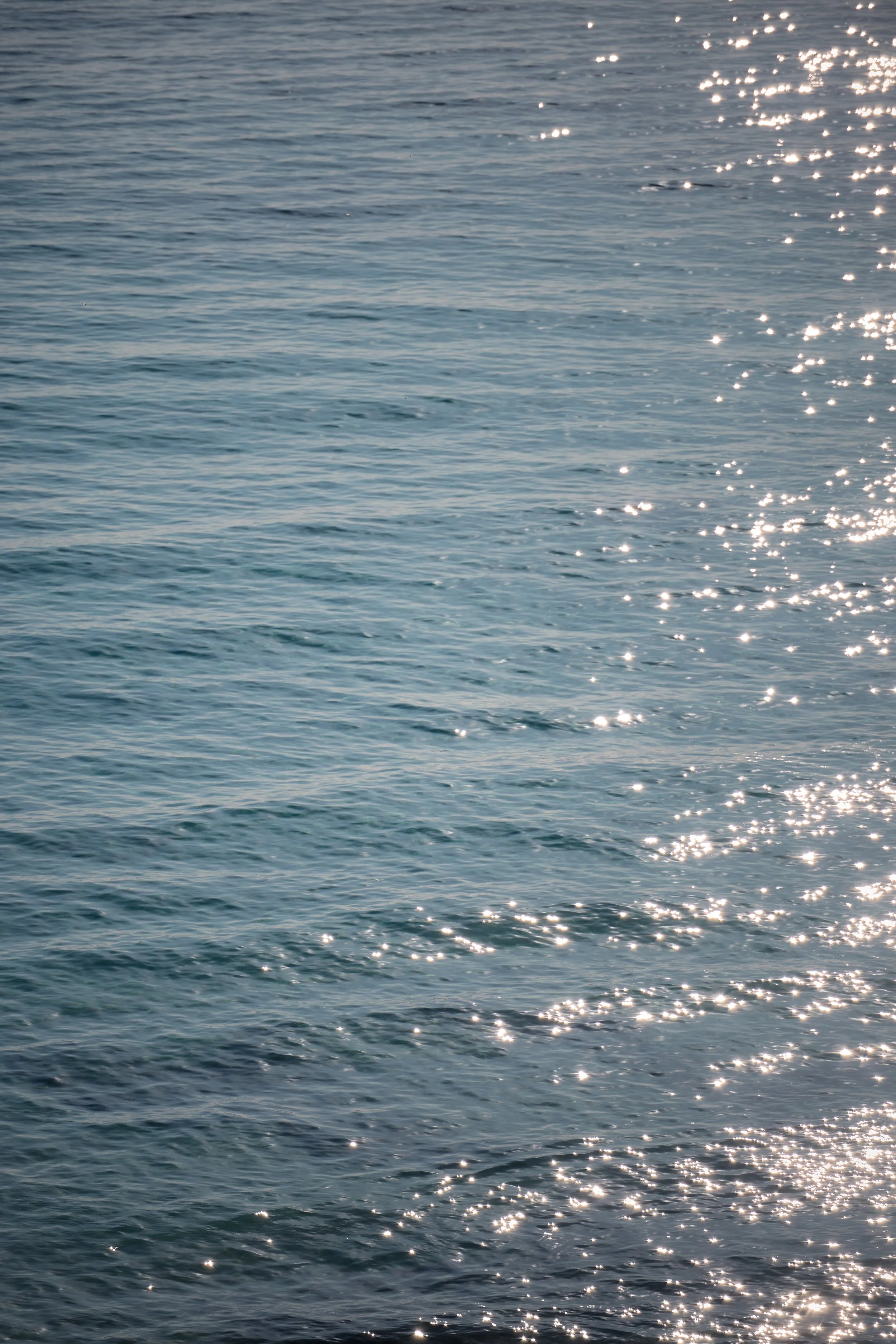 Jenna French_Giorgi_North Beach_Preview Imagery 13.jpg
