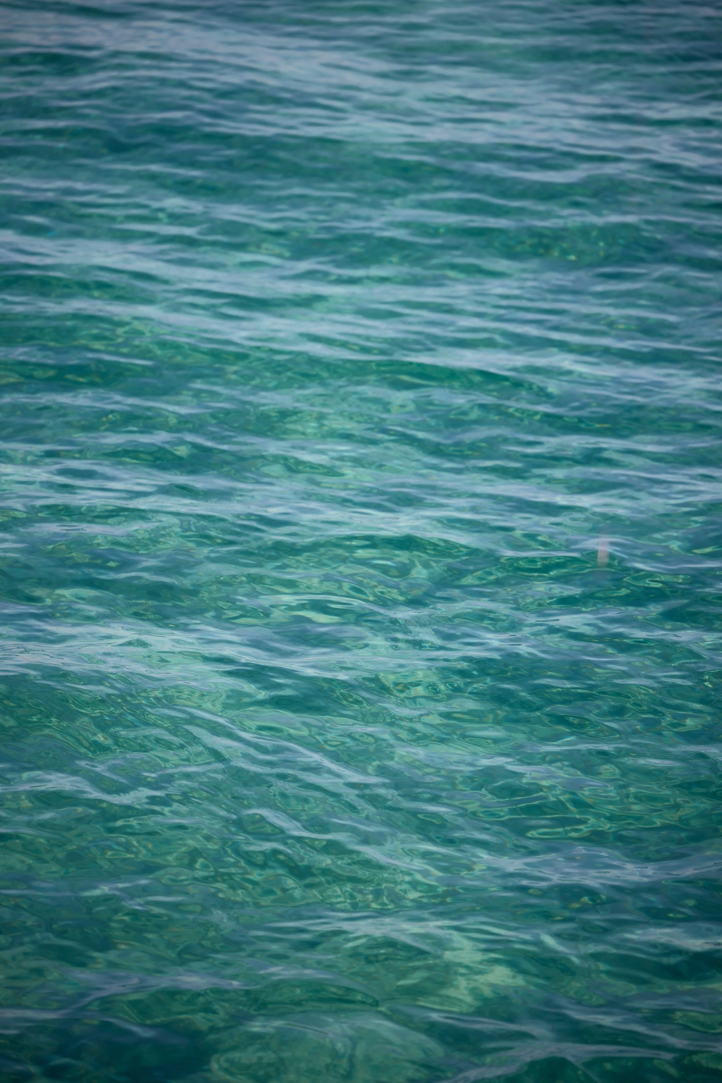 Jenna French_Giorgi_North Beach_Preview Imagery 0.jpg