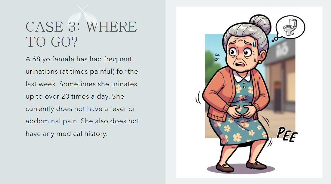 Case3Q.png