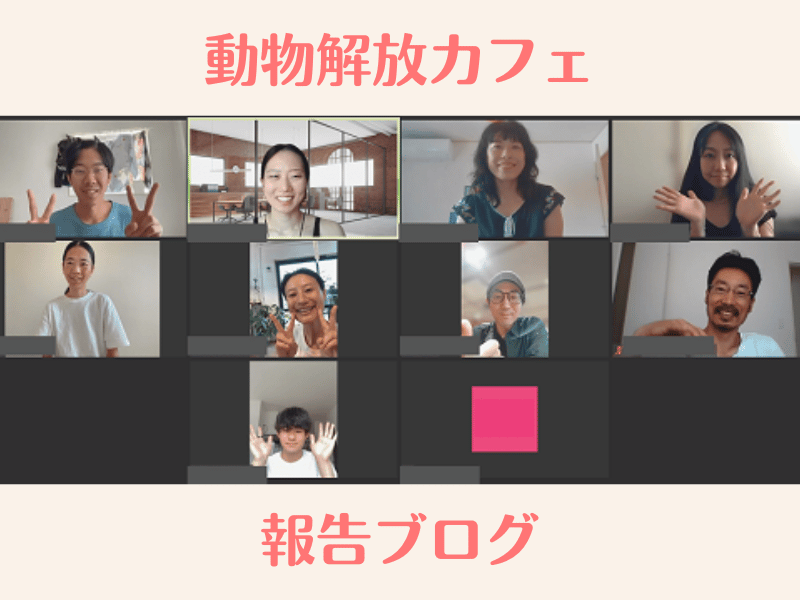 動物解放カフェを開催しました！【イベント報告】