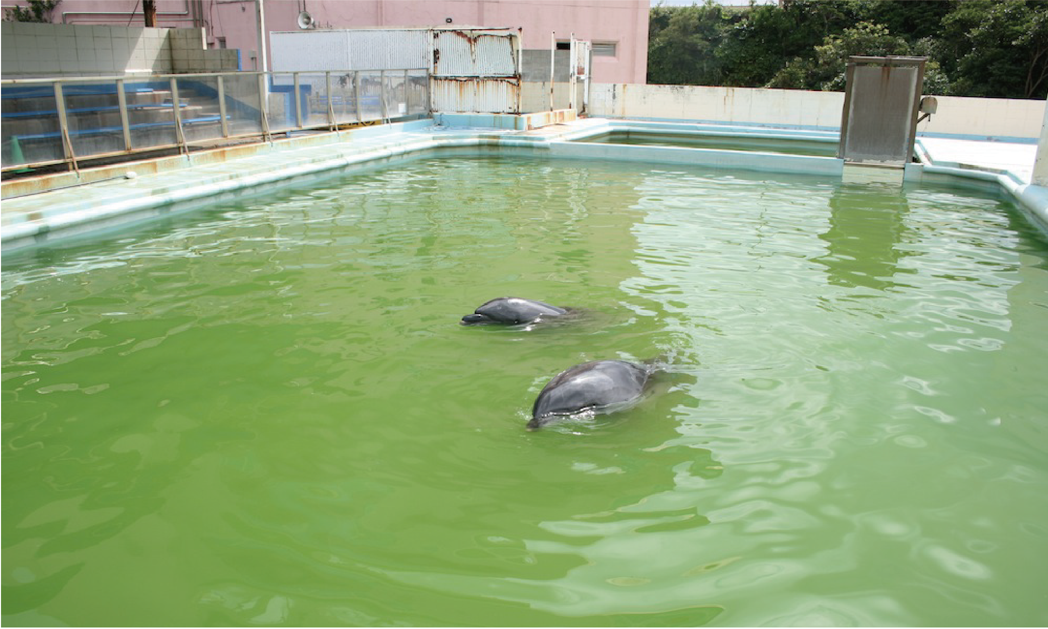 犬吠埼マリンパークからご返答をいただいています