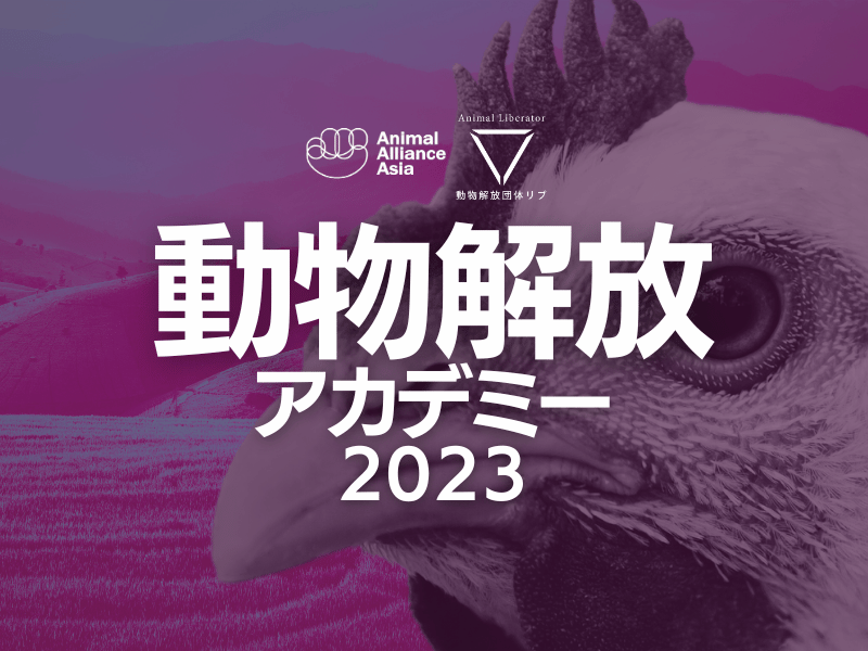 動物解放アカデミー2023開催決定！申し込み