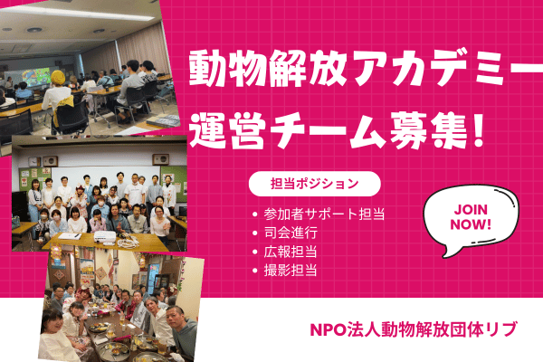 【動物解放アカデミー2024】運営チームメンバー募集！