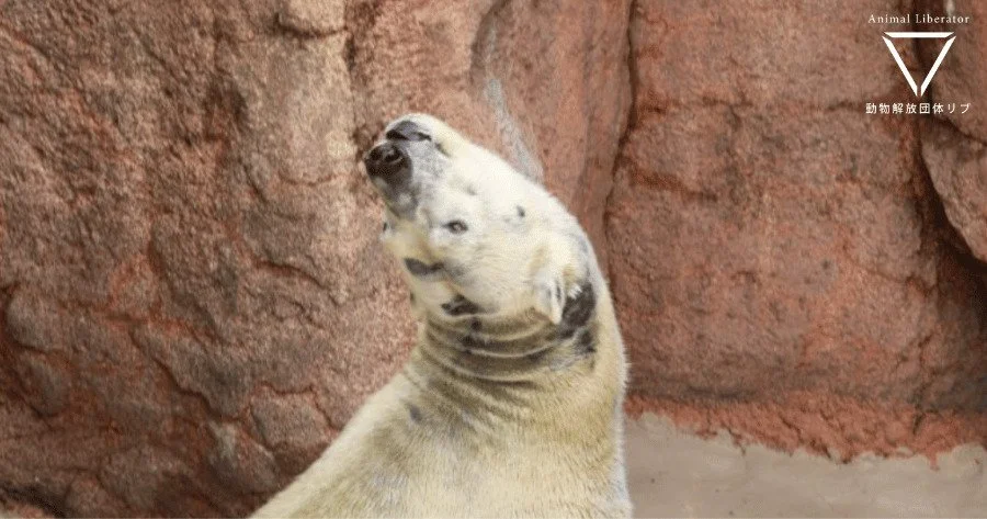 【まとめ】「日本一周！動物園水族館調査」全施設リスト