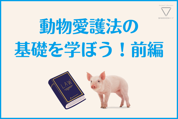 動物愛護管理法の基礎を学ぼう（前編）