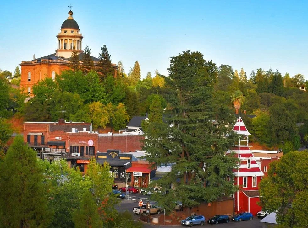 Auburn garage door company