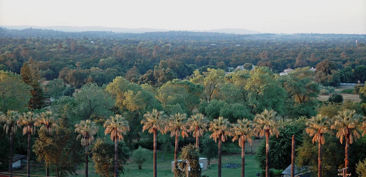 Loomis garage door company