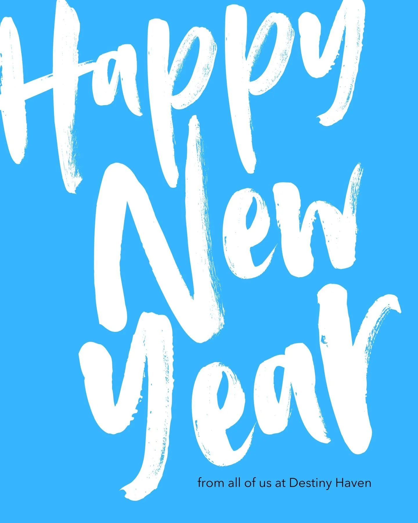 Happy New Year from all of us at Destiny Haven 🩵

As we step into 2026, we&rsquo;re filled with gratitude for every story shared, every connection and every life changed.

Thank you for being part of our journey. Here&rsquo;s to a new year of healin