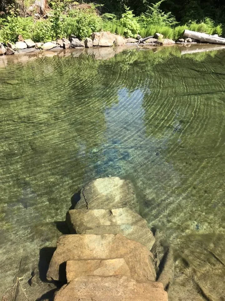 Pond Steps2.jpeg