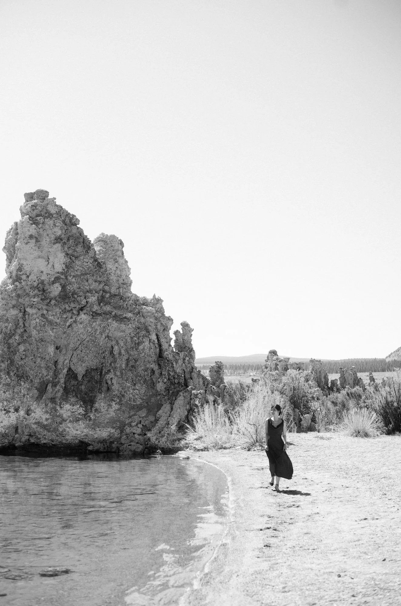 L1003003.jpg