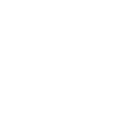 special+olympics.png