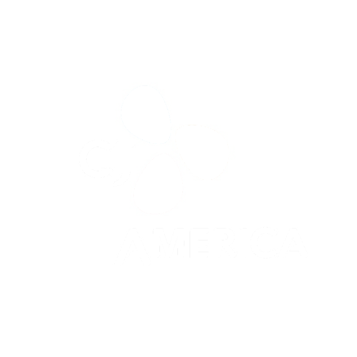 CJ+E&M+America.png