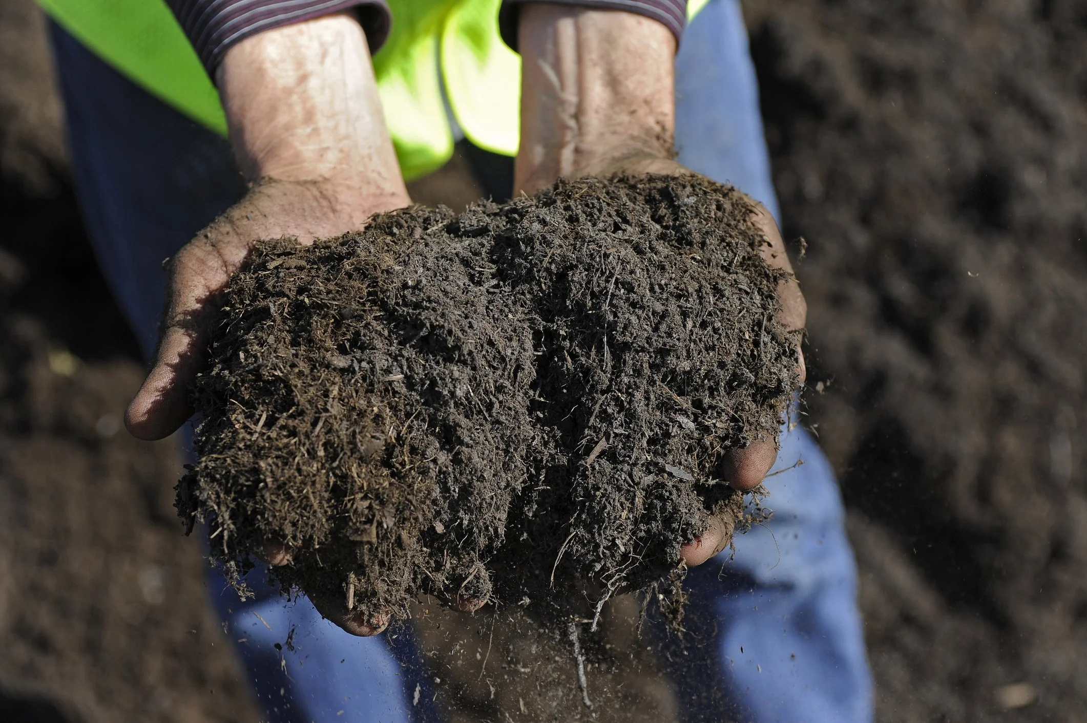 Why healthy soil is the starting point for better yeilds.