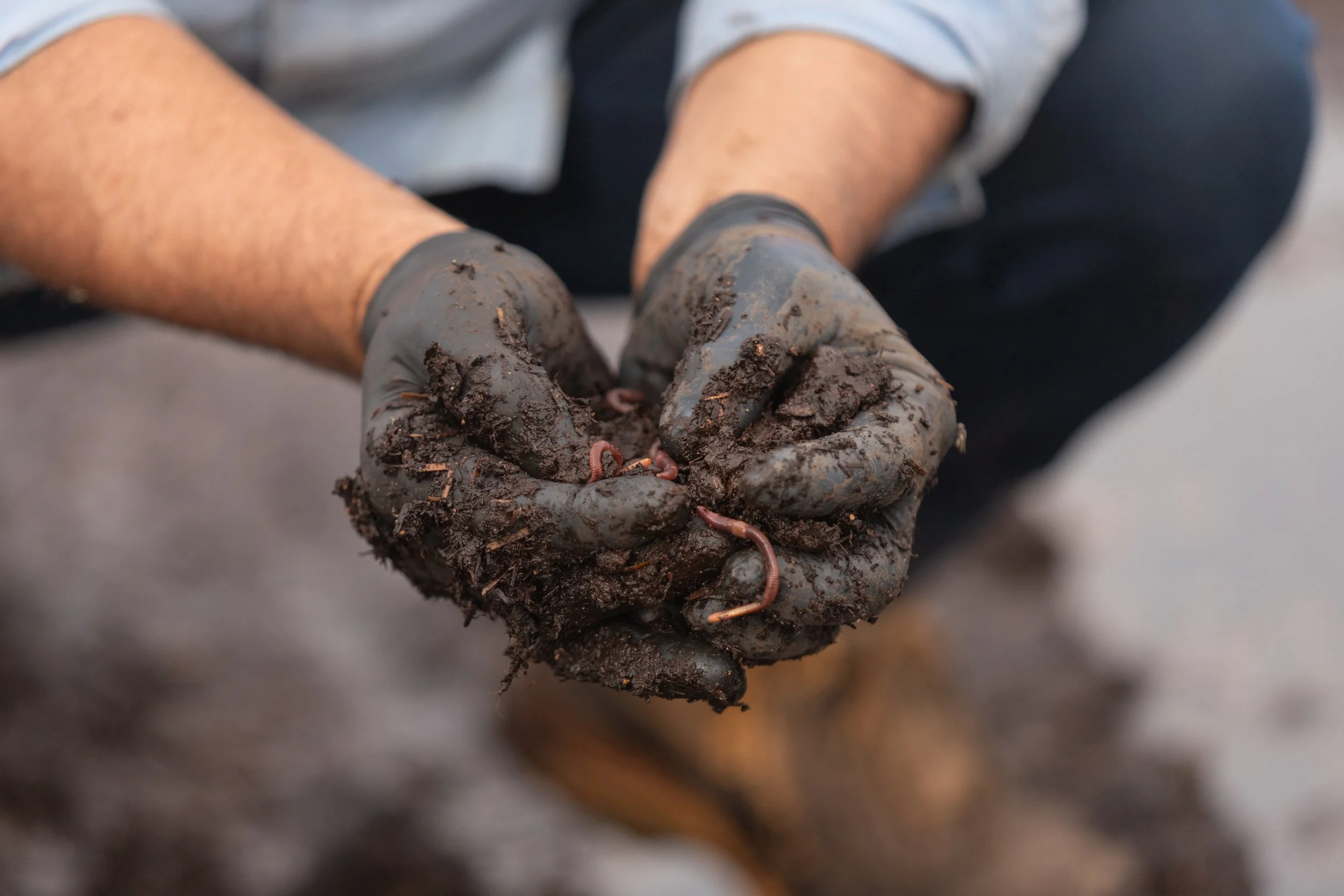 Choosing the right fertiliser format for your growing system