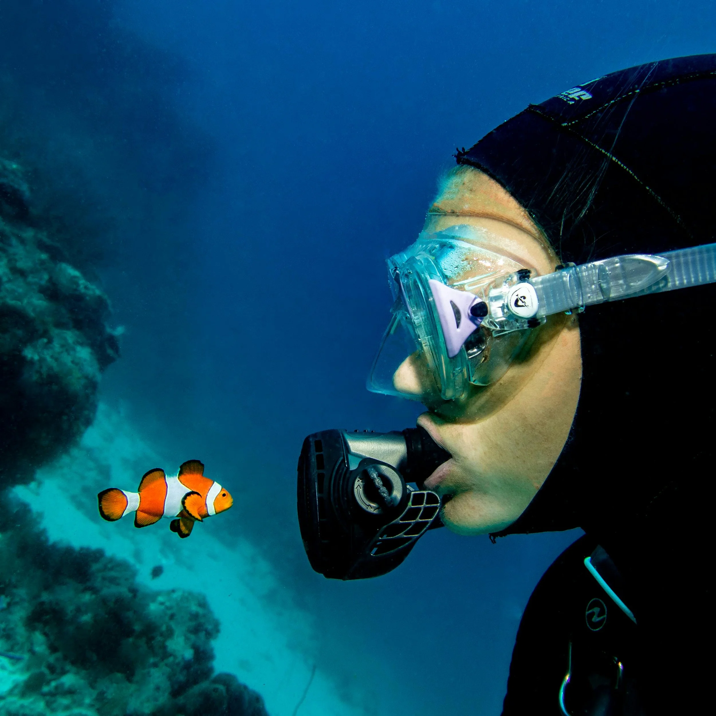 Marine Science/Aquatic Practices curriculum & PADI Dive Ticket