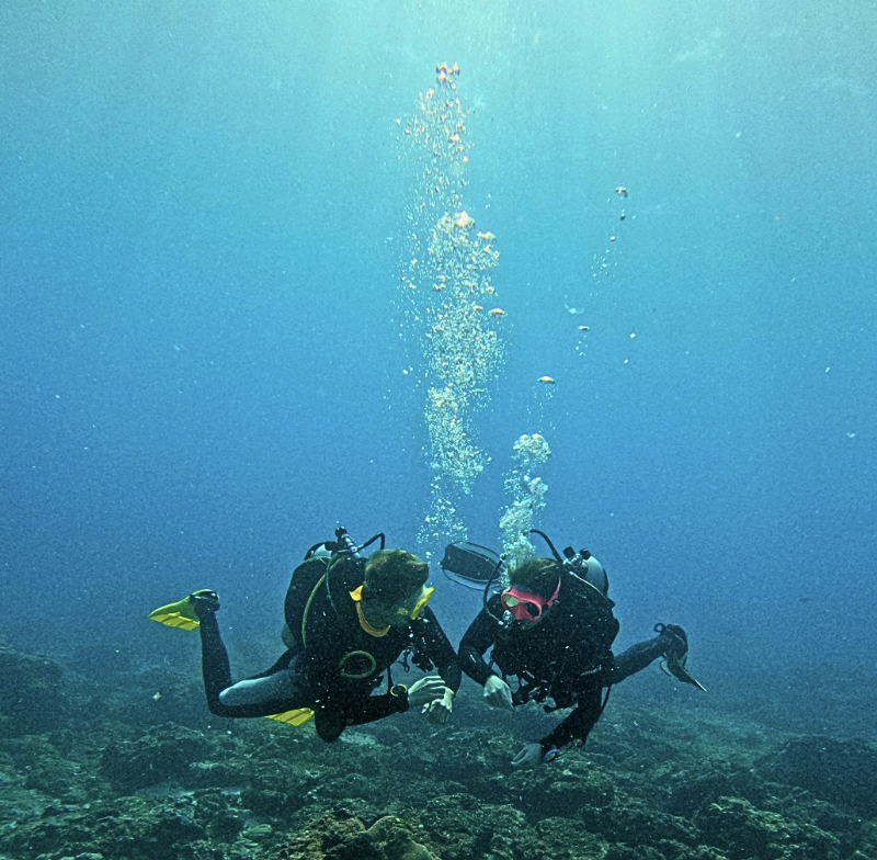 Marine Science/Aquatic Practices curriculum & PADI Dive Ticket