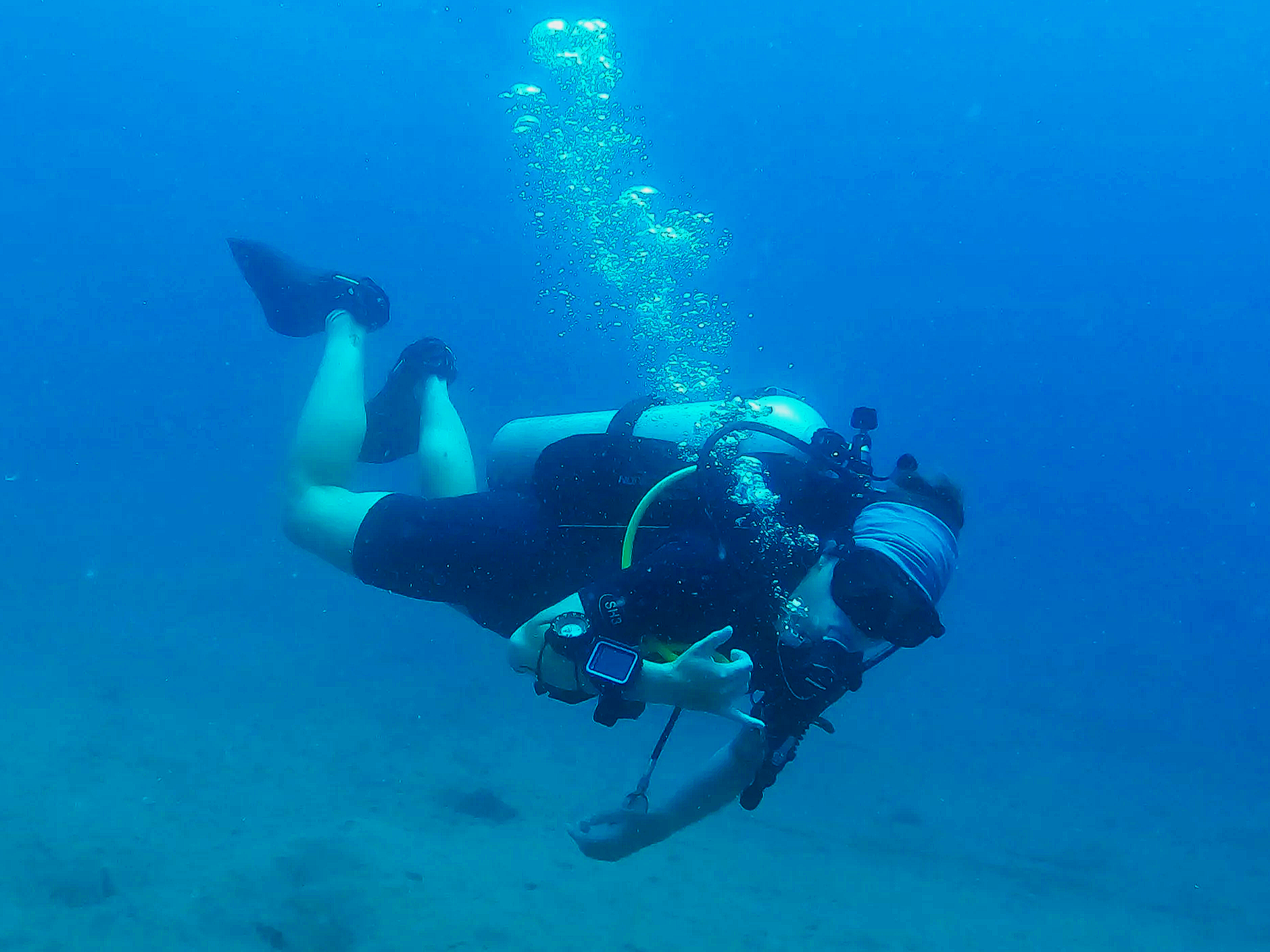 Coral conservation & PADI Dive Ticket with First Aid