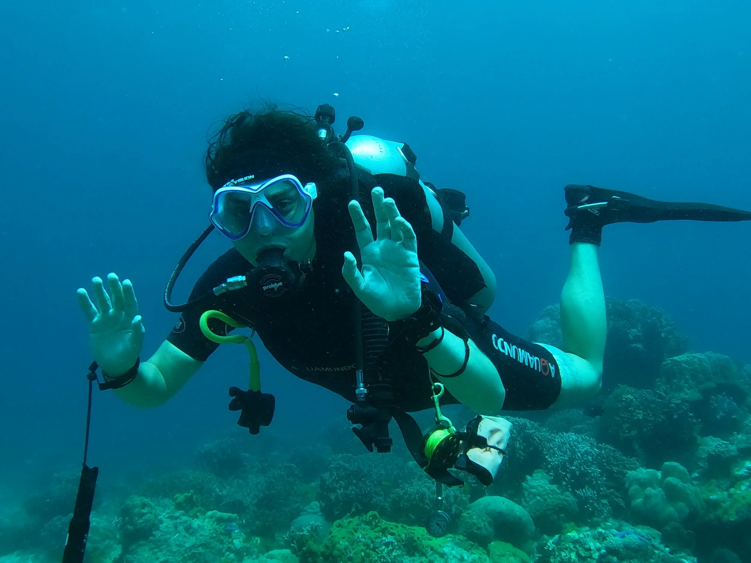 Marine Science/Aquatic Practices curriculum & PADI Dive Ticket